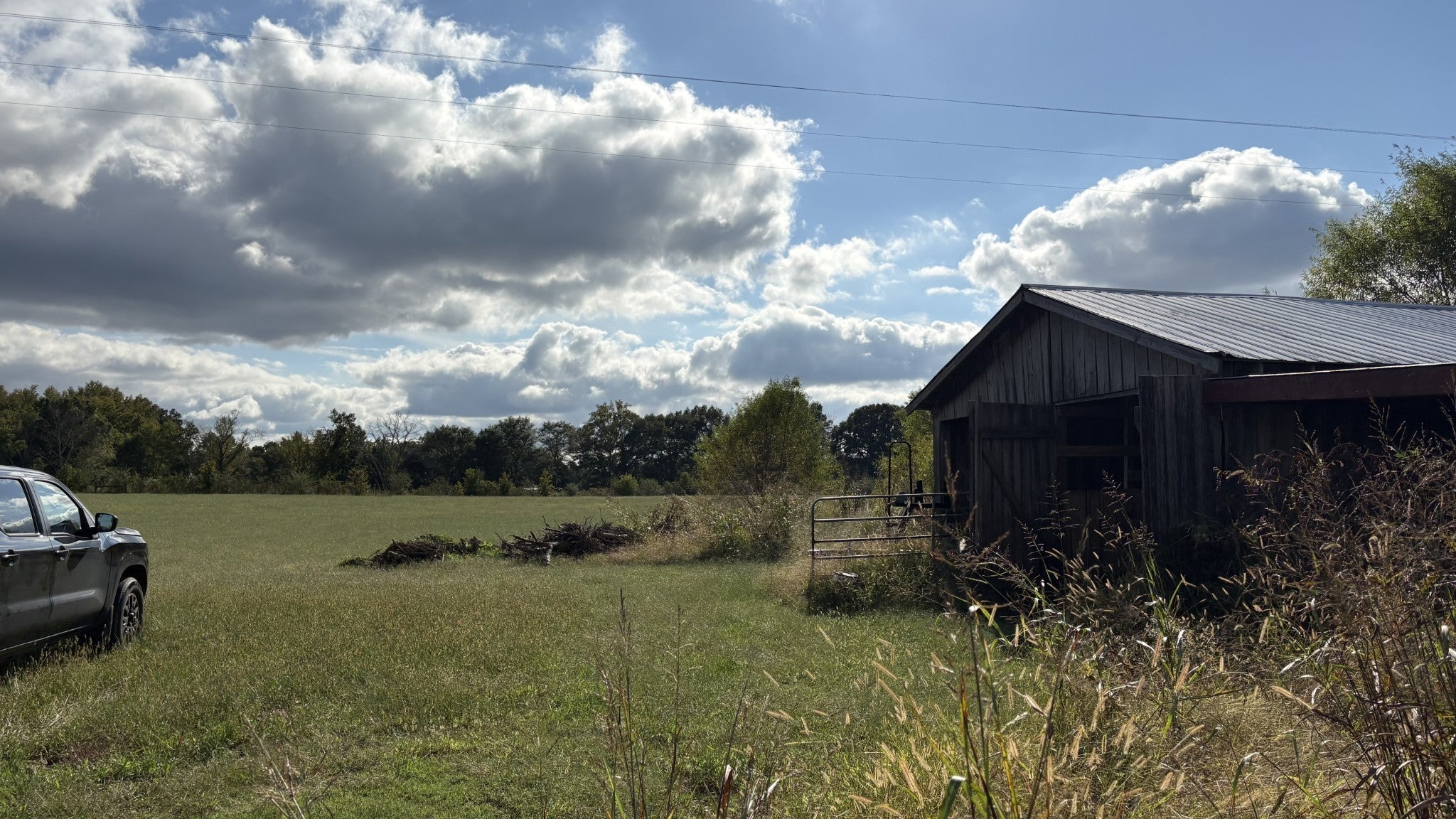 Photo of Listing #3013968