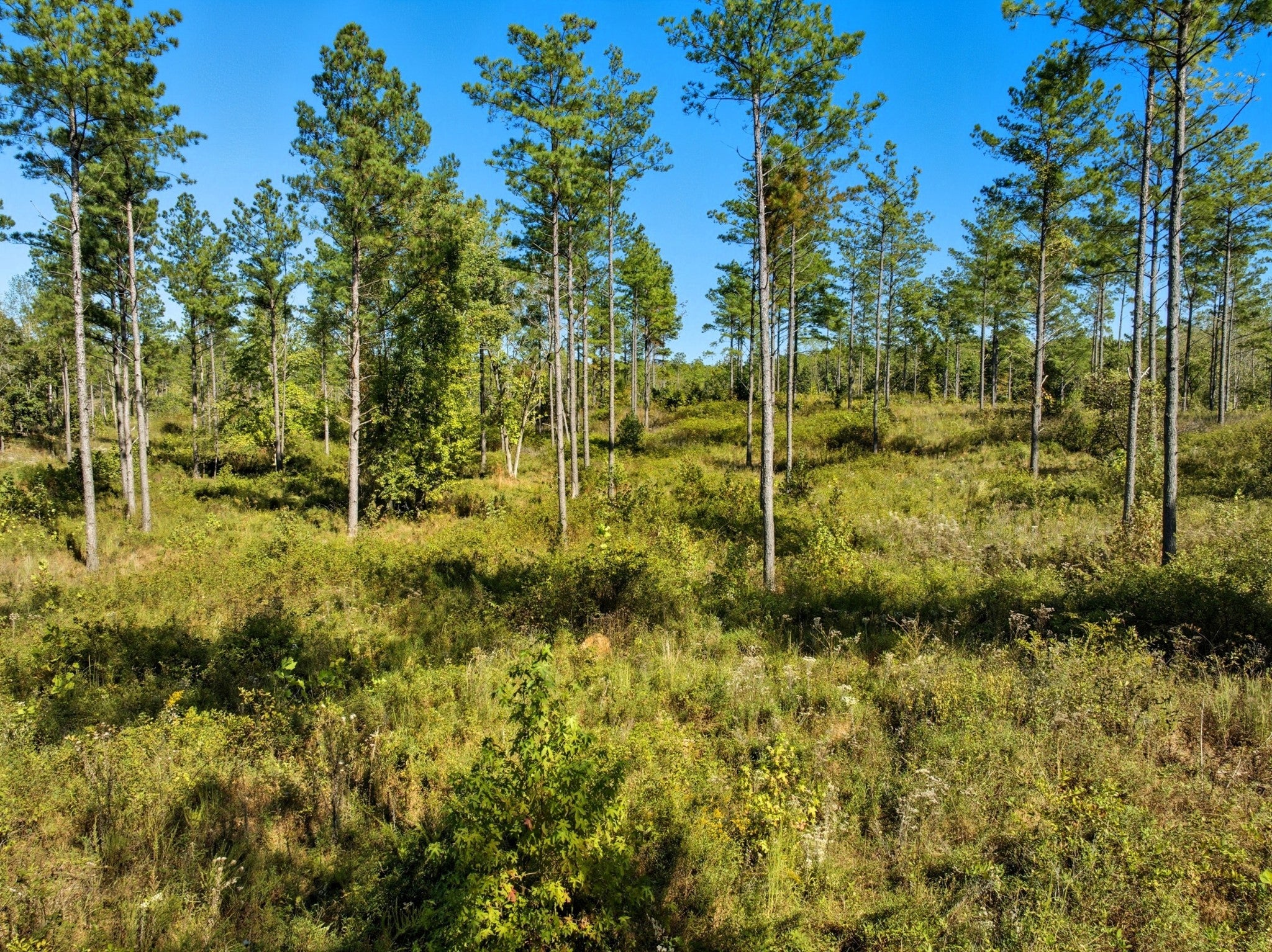 Photo of Listing #3014244