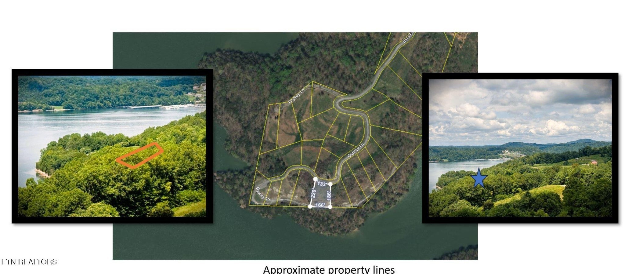 Photo of Listing #3014272