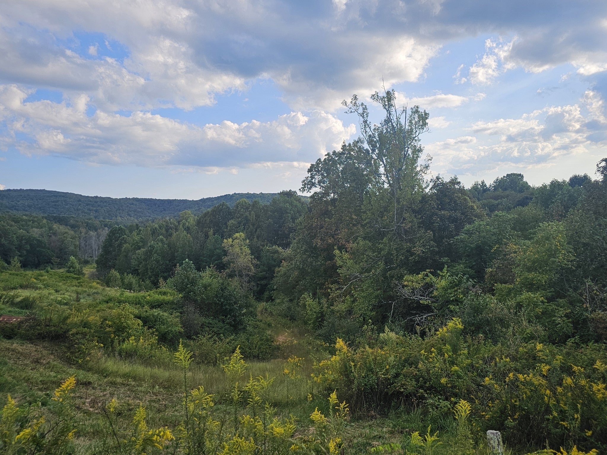 Photo of Listing #3014865