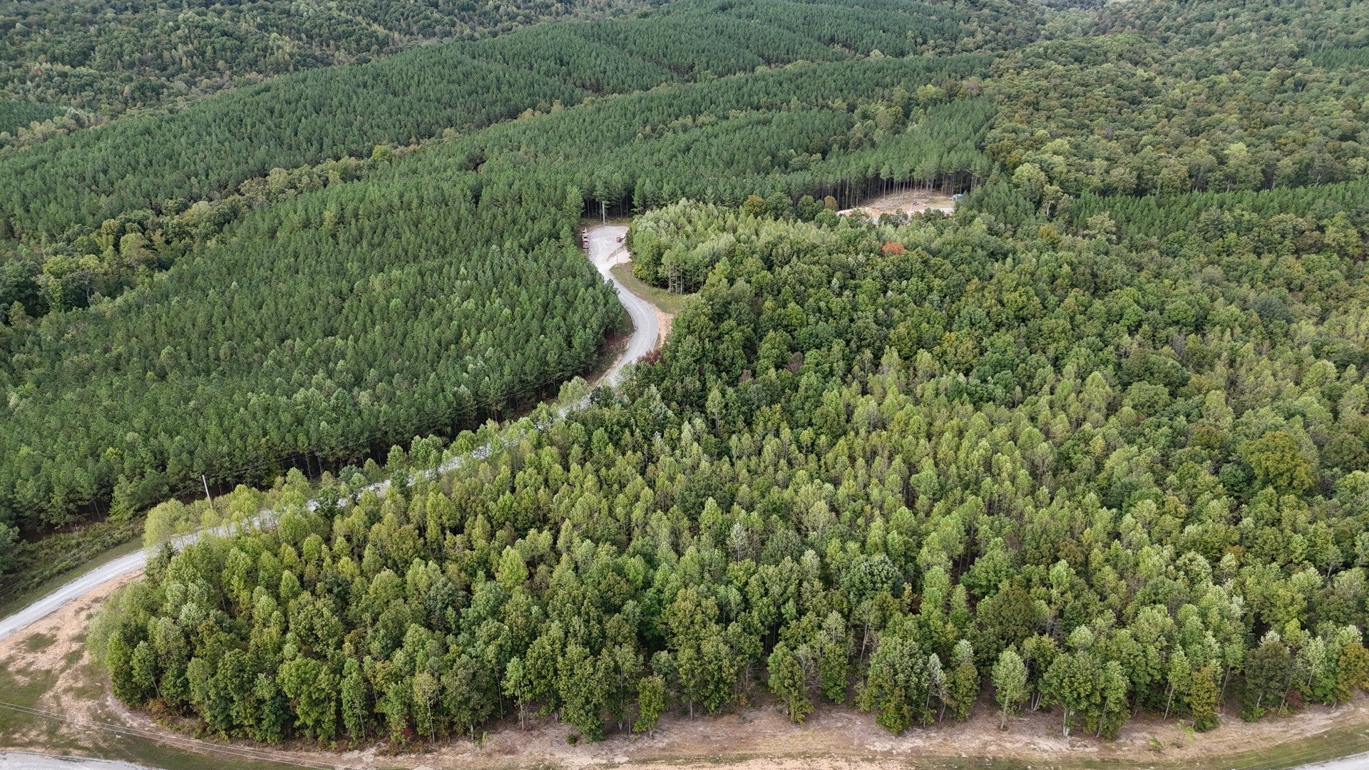 Photo of Listing #3014984