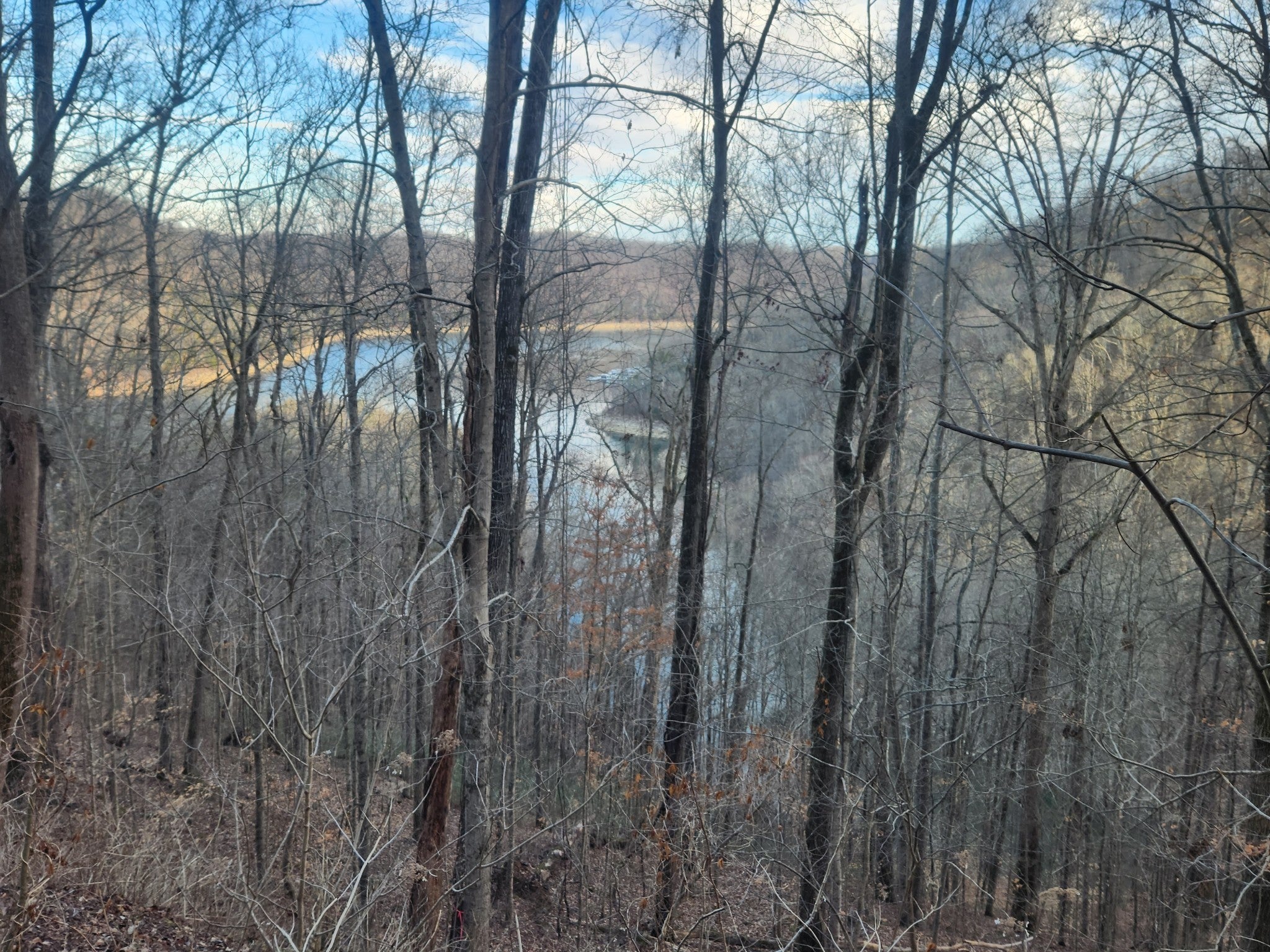 Photo of Listing #3015256