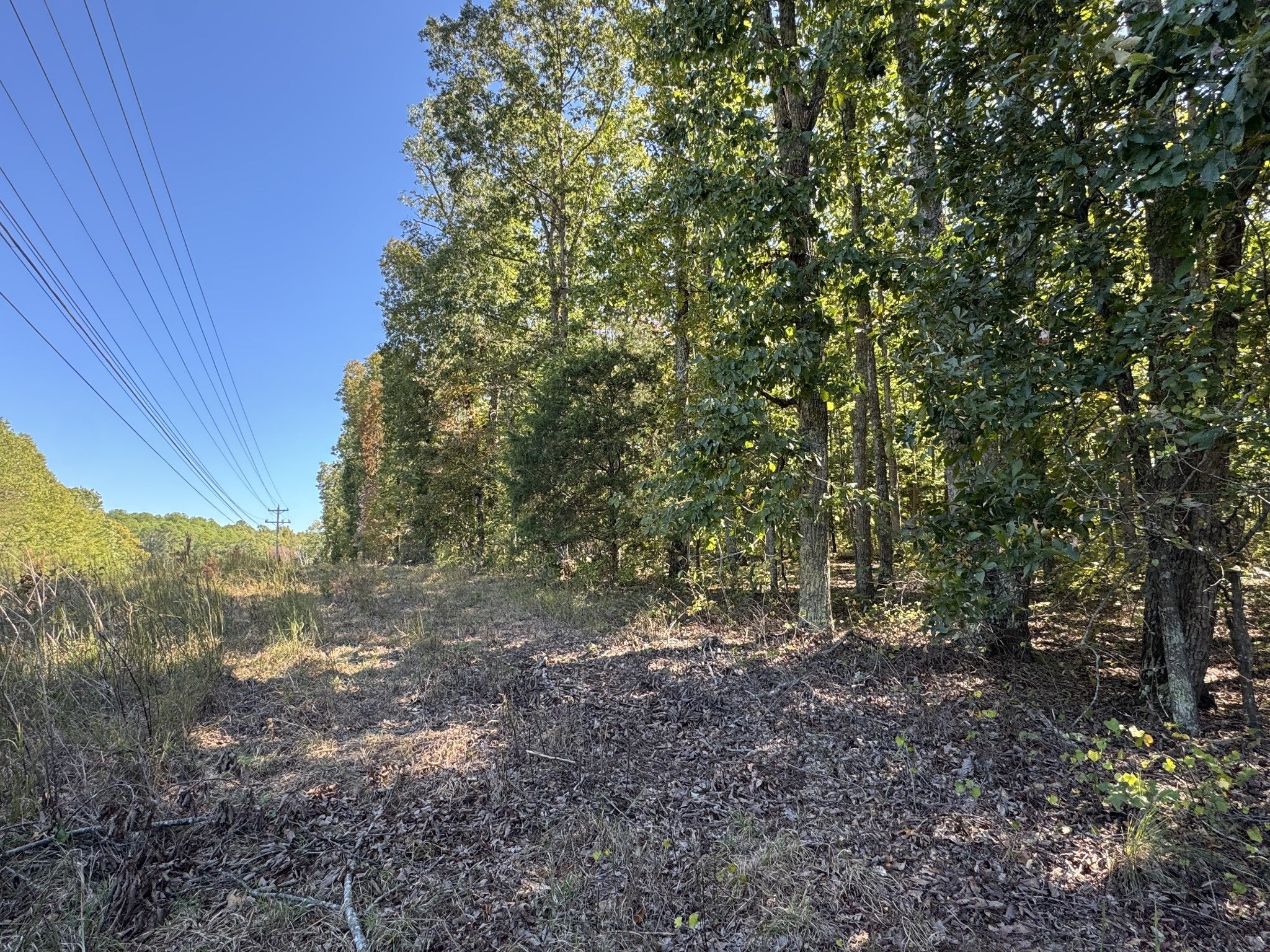 Photo of Listing #3015283