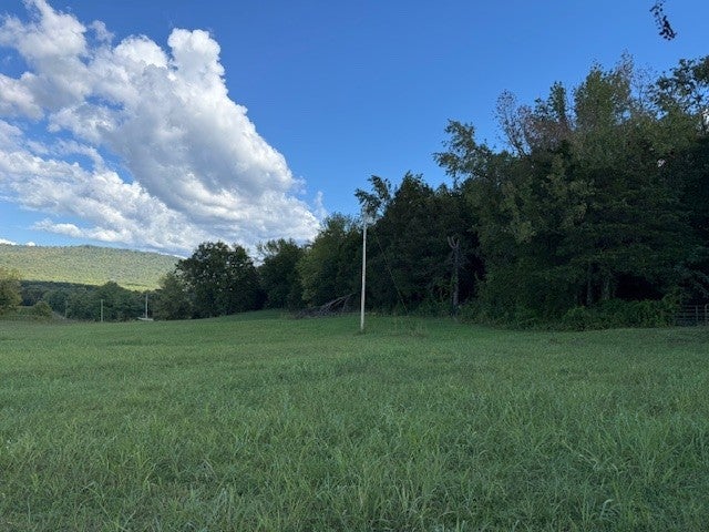 Photo of Listing #3015597