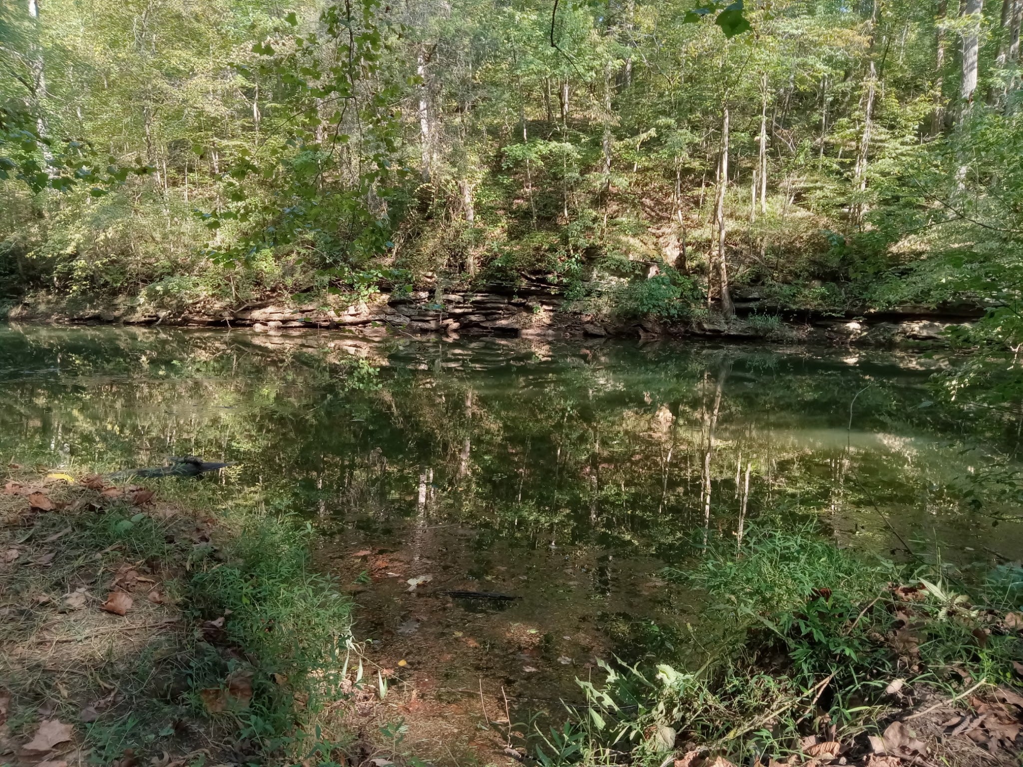 Photo of Listing #3015664