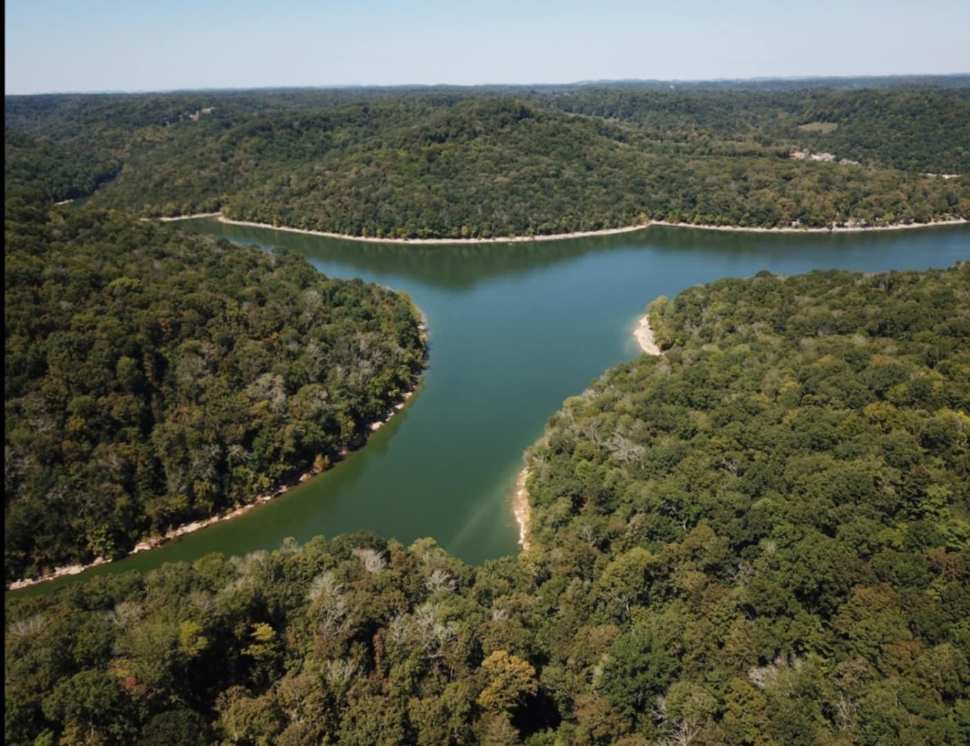 Photo of Listing #3015708