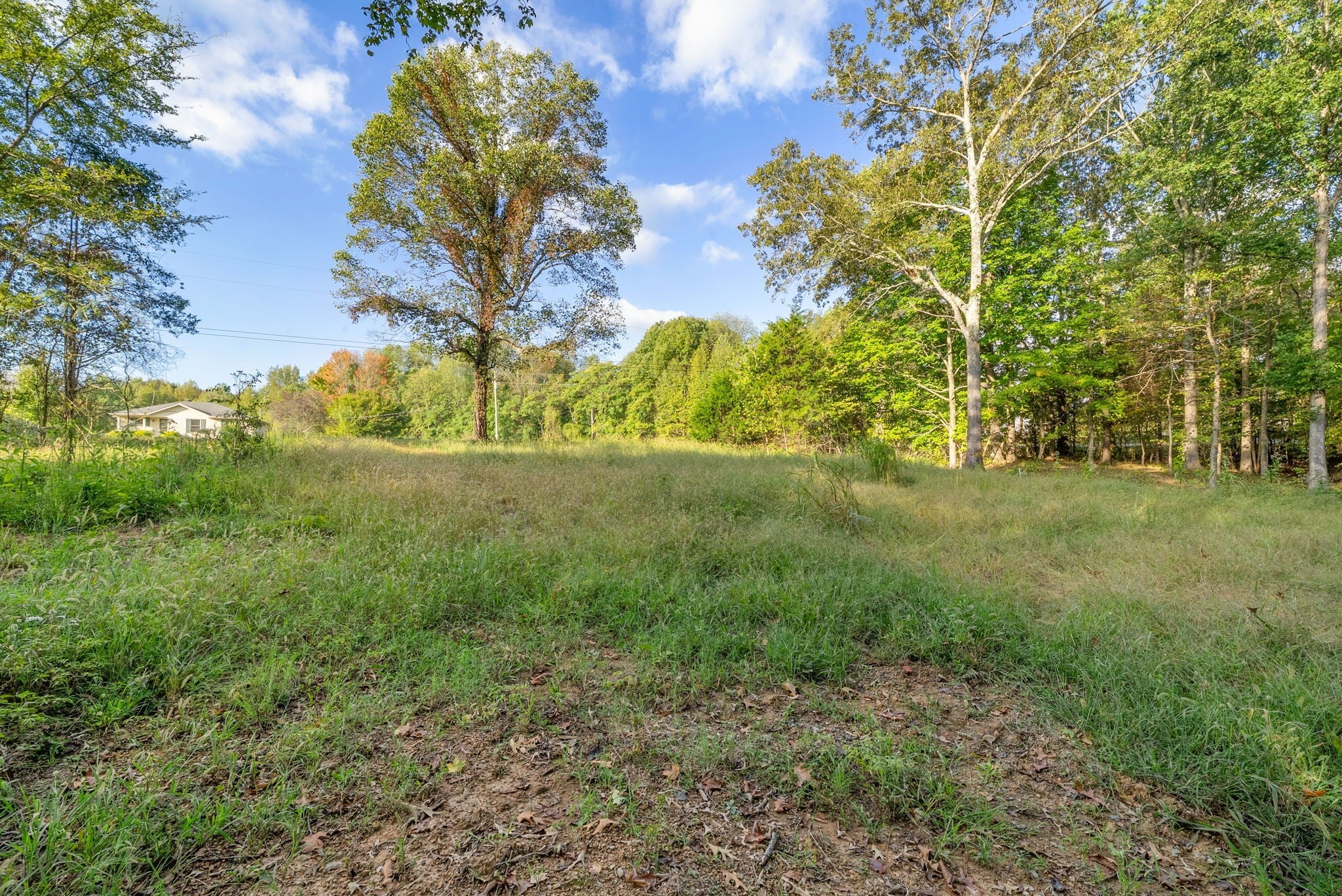 Photo of Listing #3016045