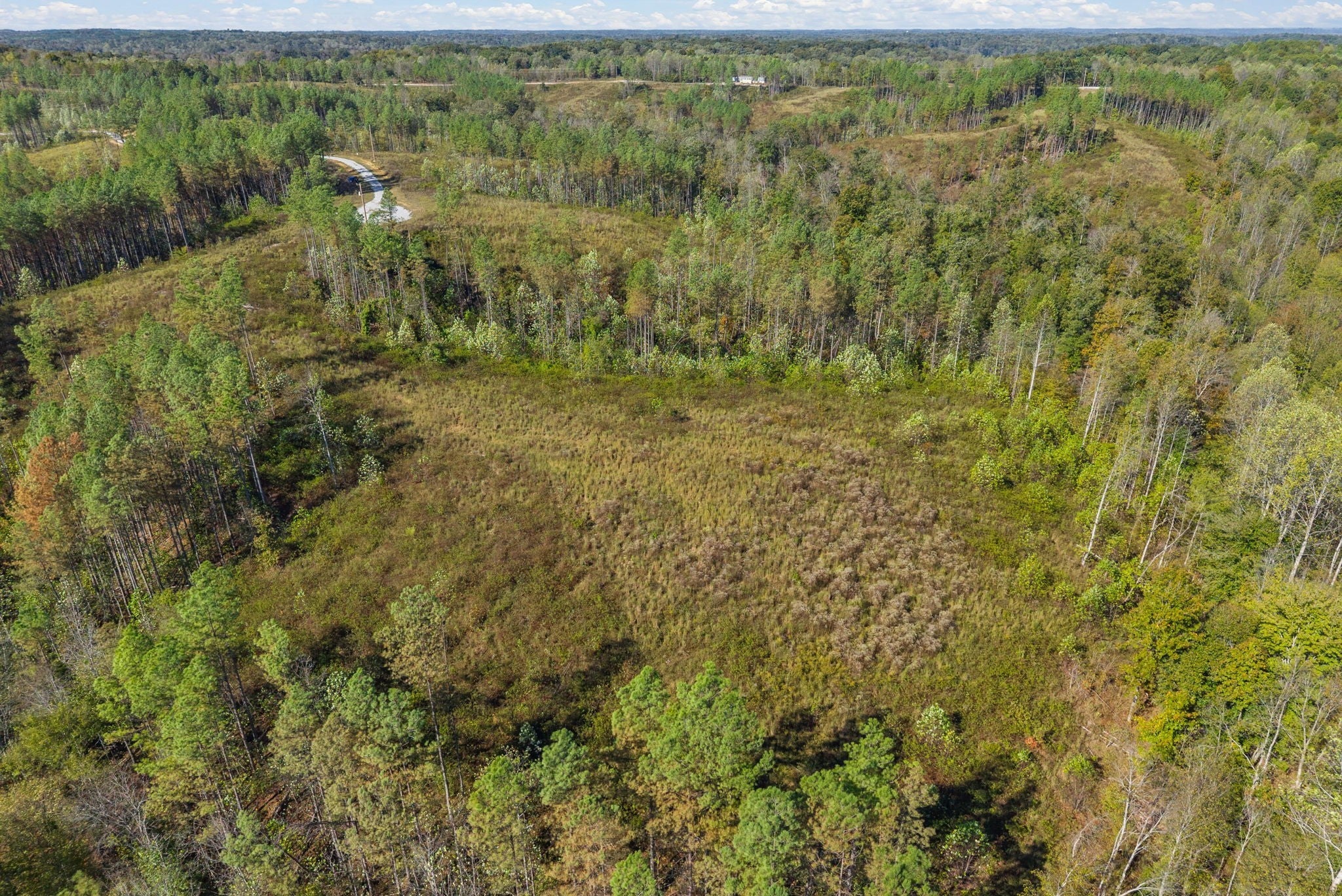 Photo of Listing #3016071