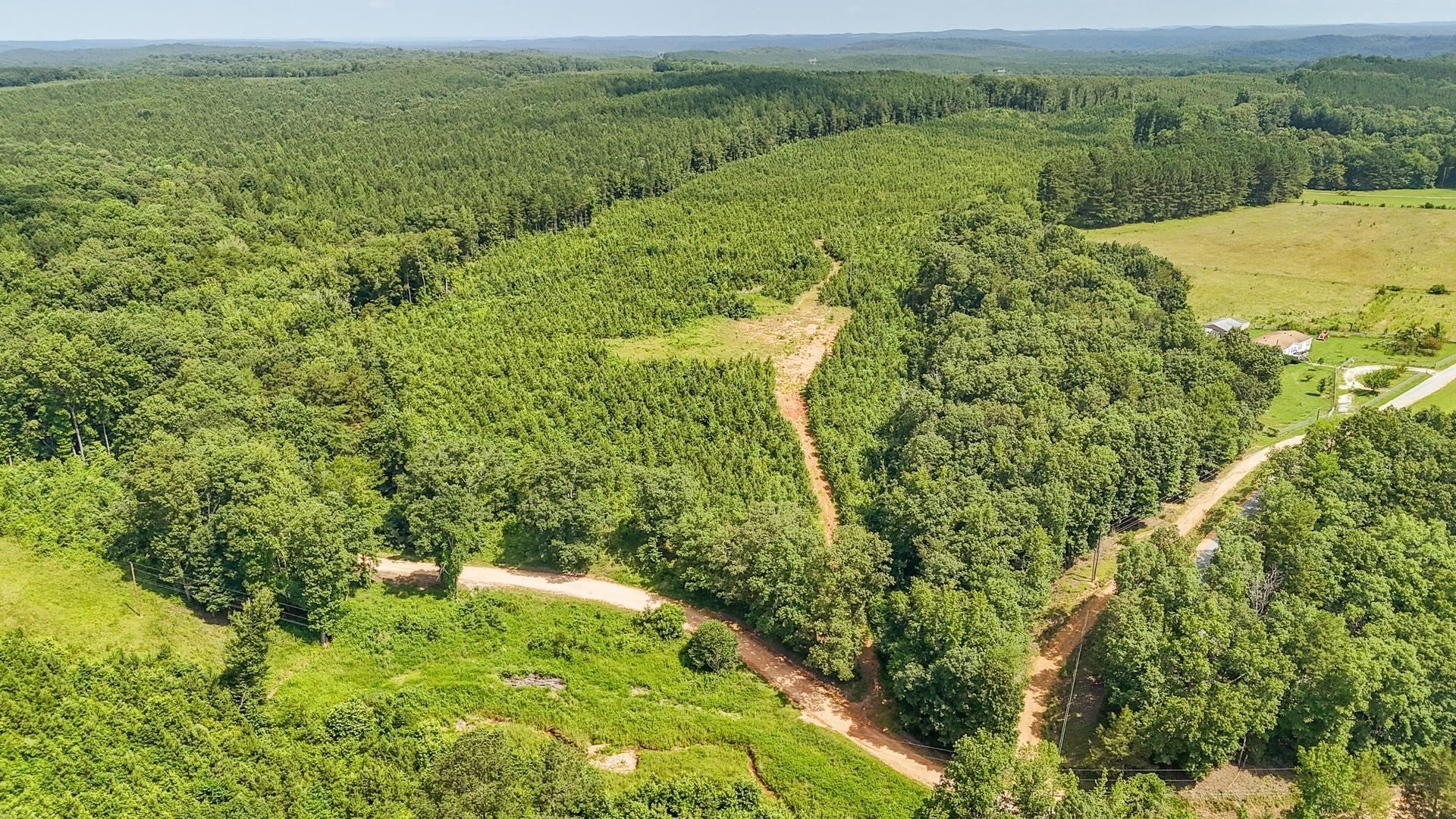 Photo of Listing #3016086