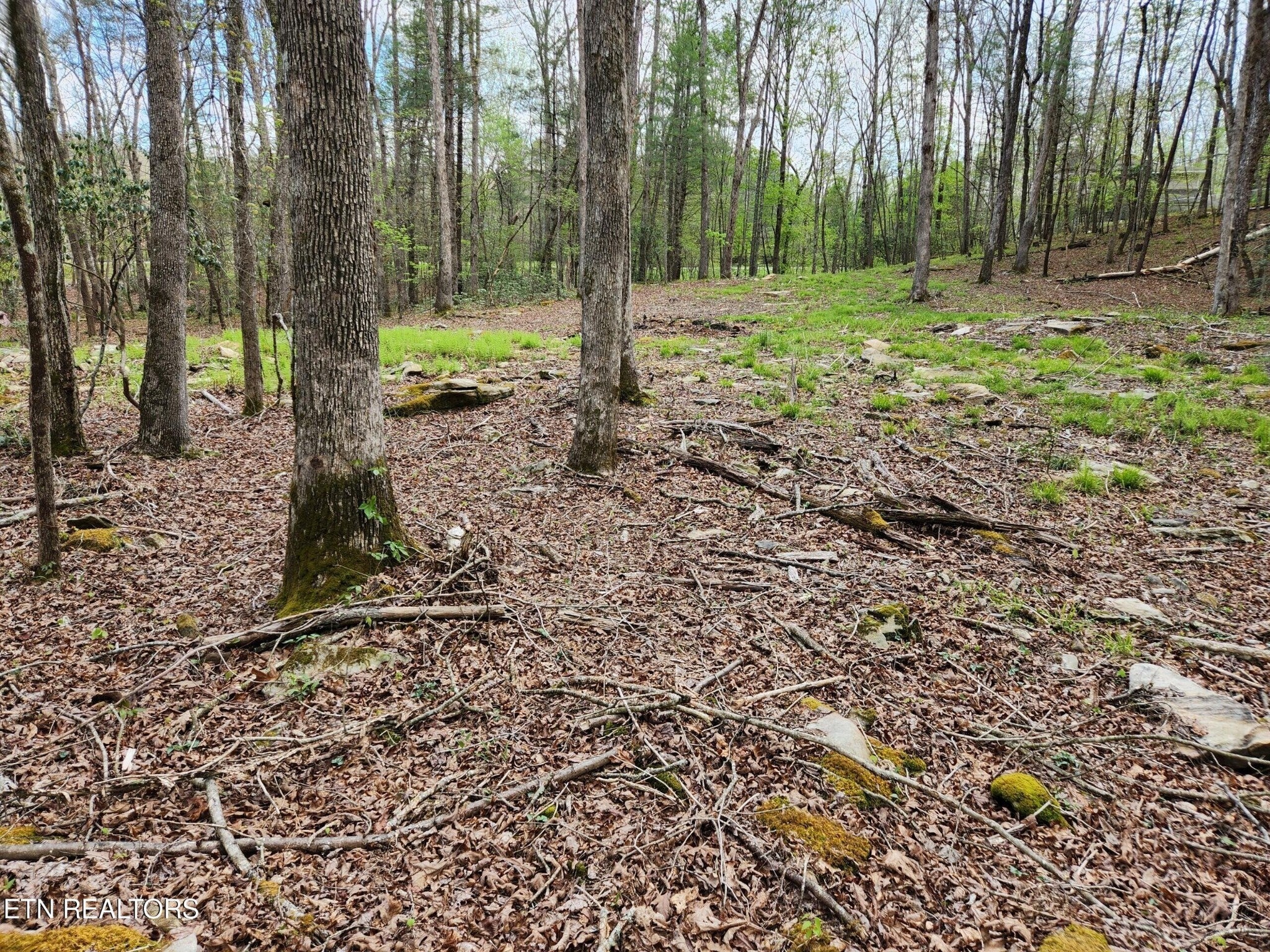 Photo of Listing #3017183