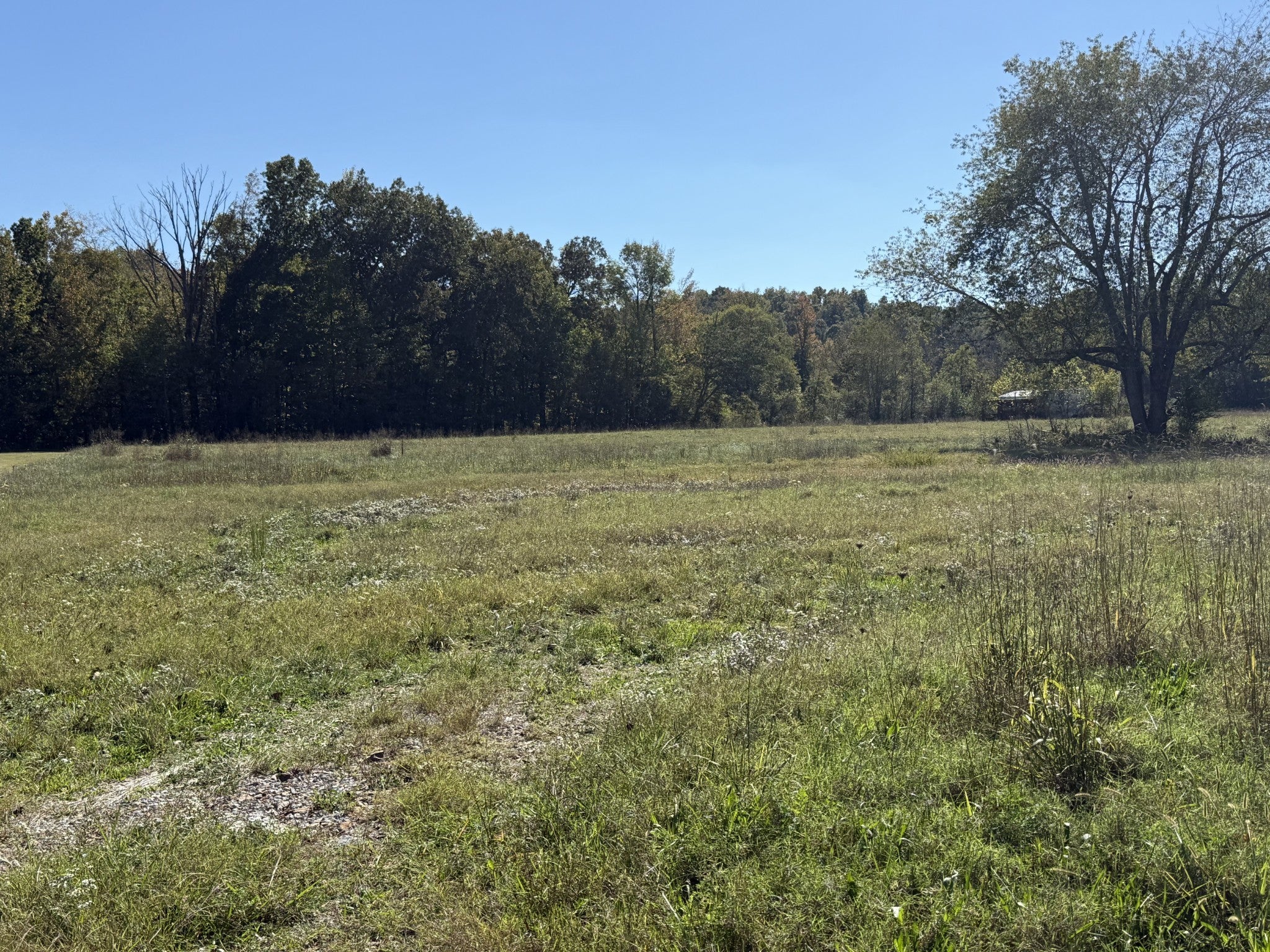 Photo of Listing #3017203