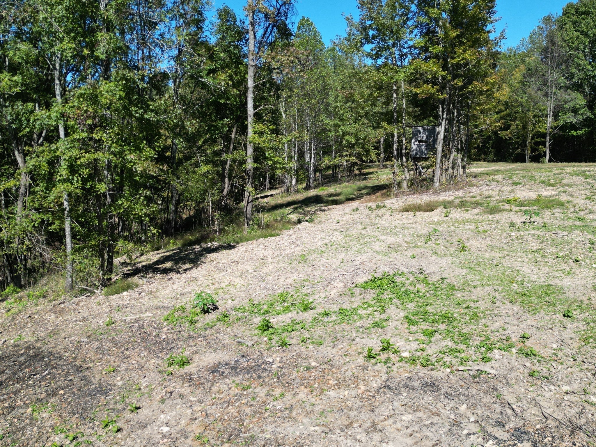 Photo of Listing #3017316