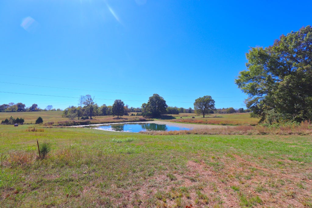 485c Canoe Branch Rd, Castalian Springs