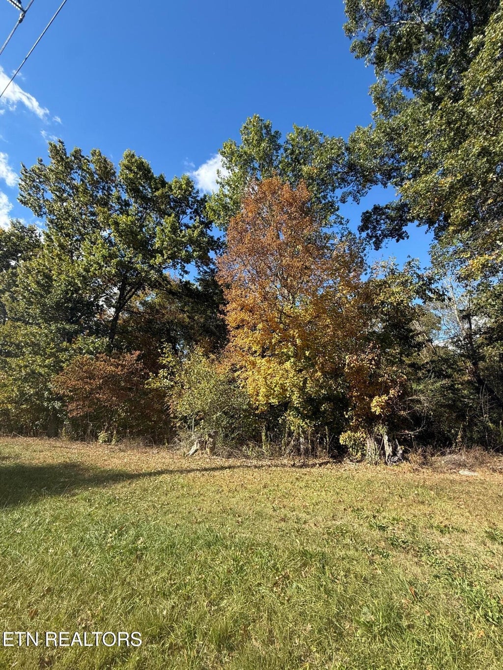 846 Porterfield Gap Rd, Seymour