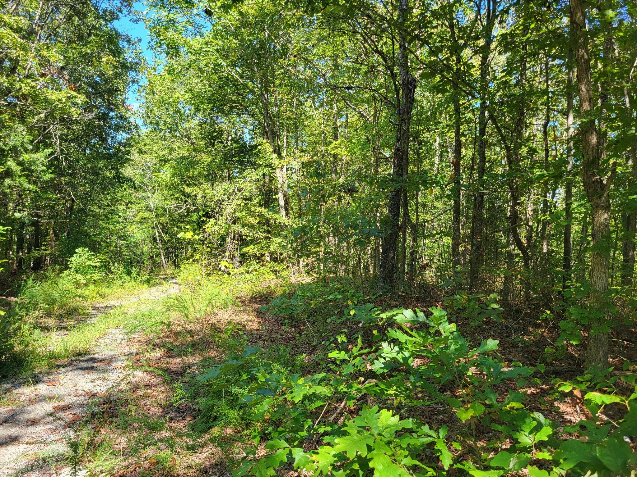 Photo of Listing #3017758