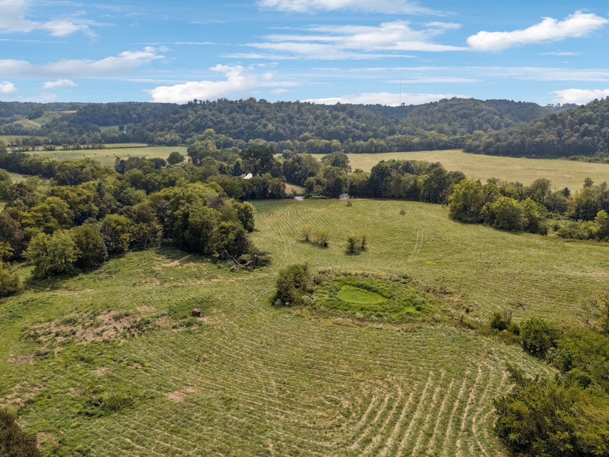 Photo of Listing #3017762