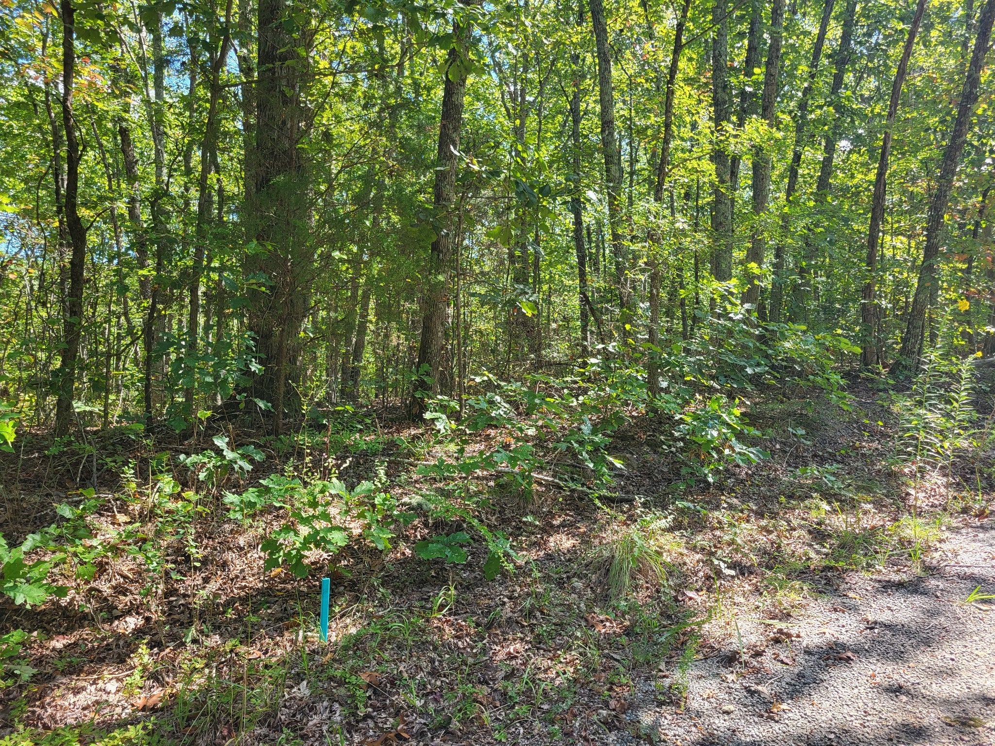 Photo of Listing #3017764