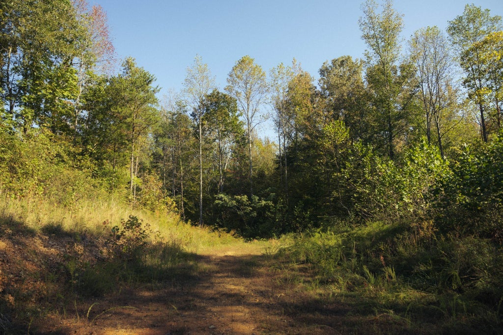 5845 Turkey Creek Rd, Waverly