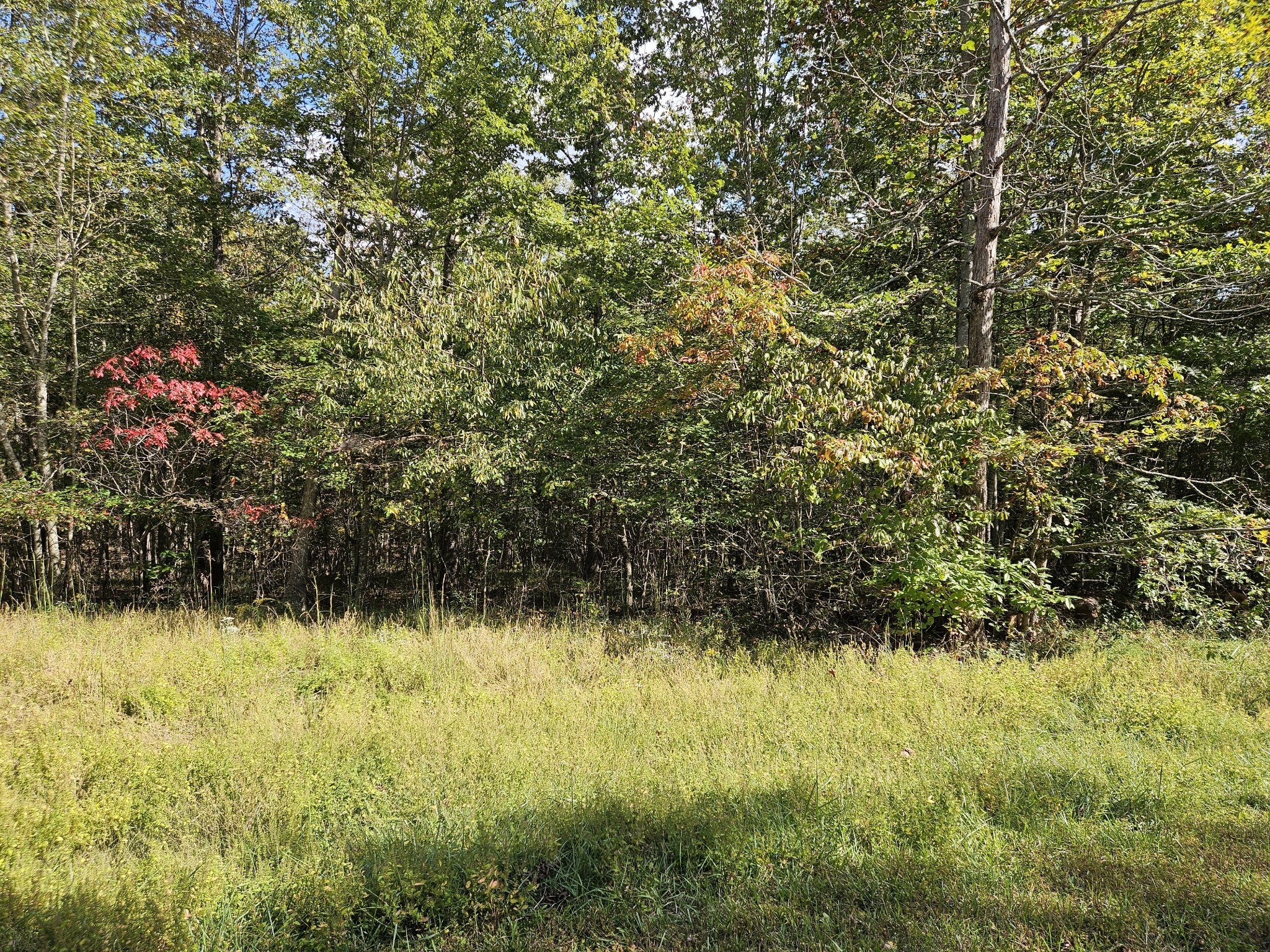 Photo of Listing #3018024