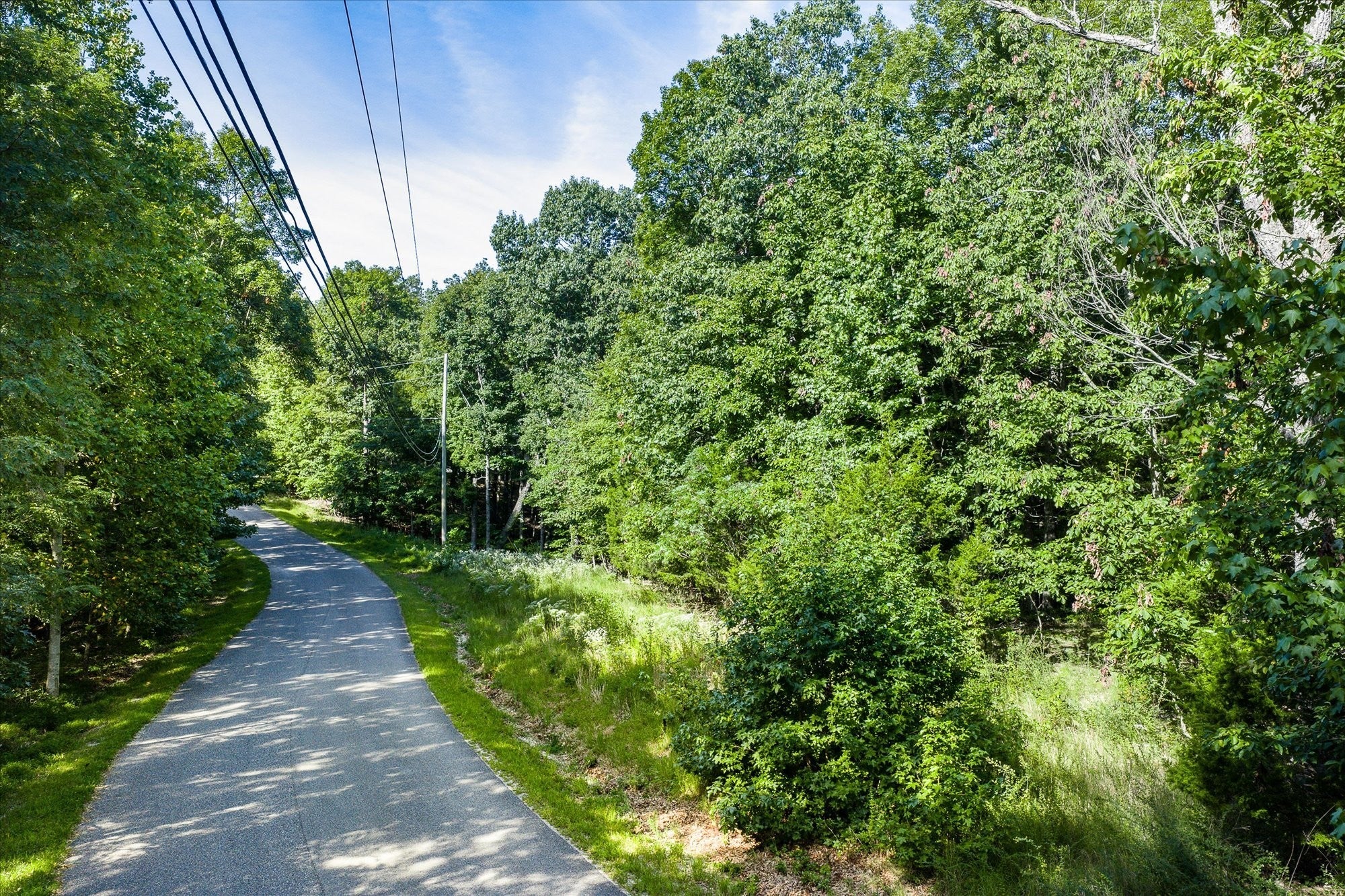 Photo of Listing #3018488