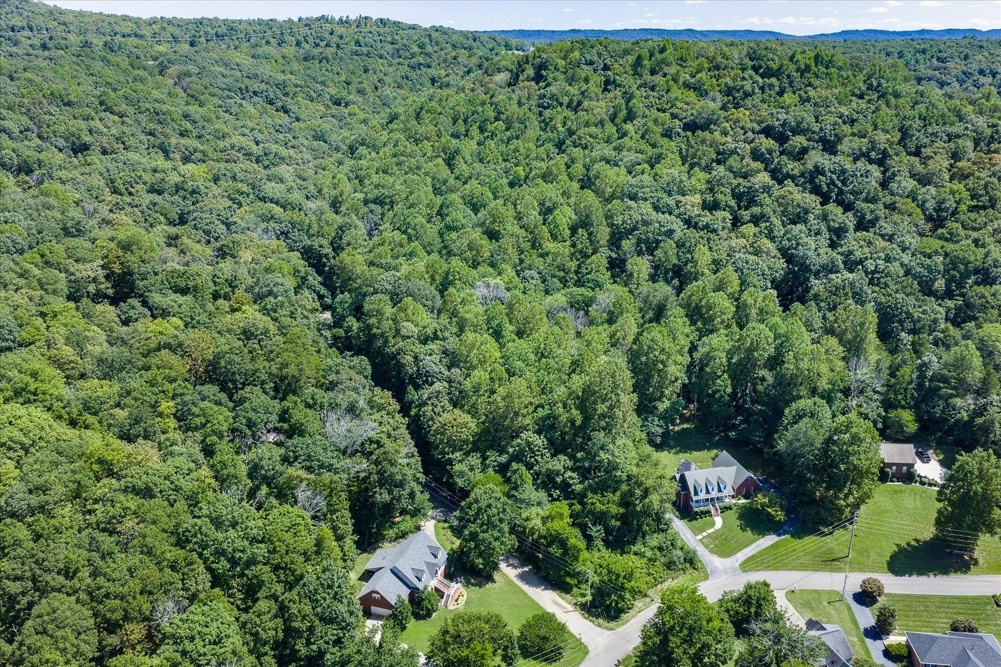 Photo of Listing #3030236