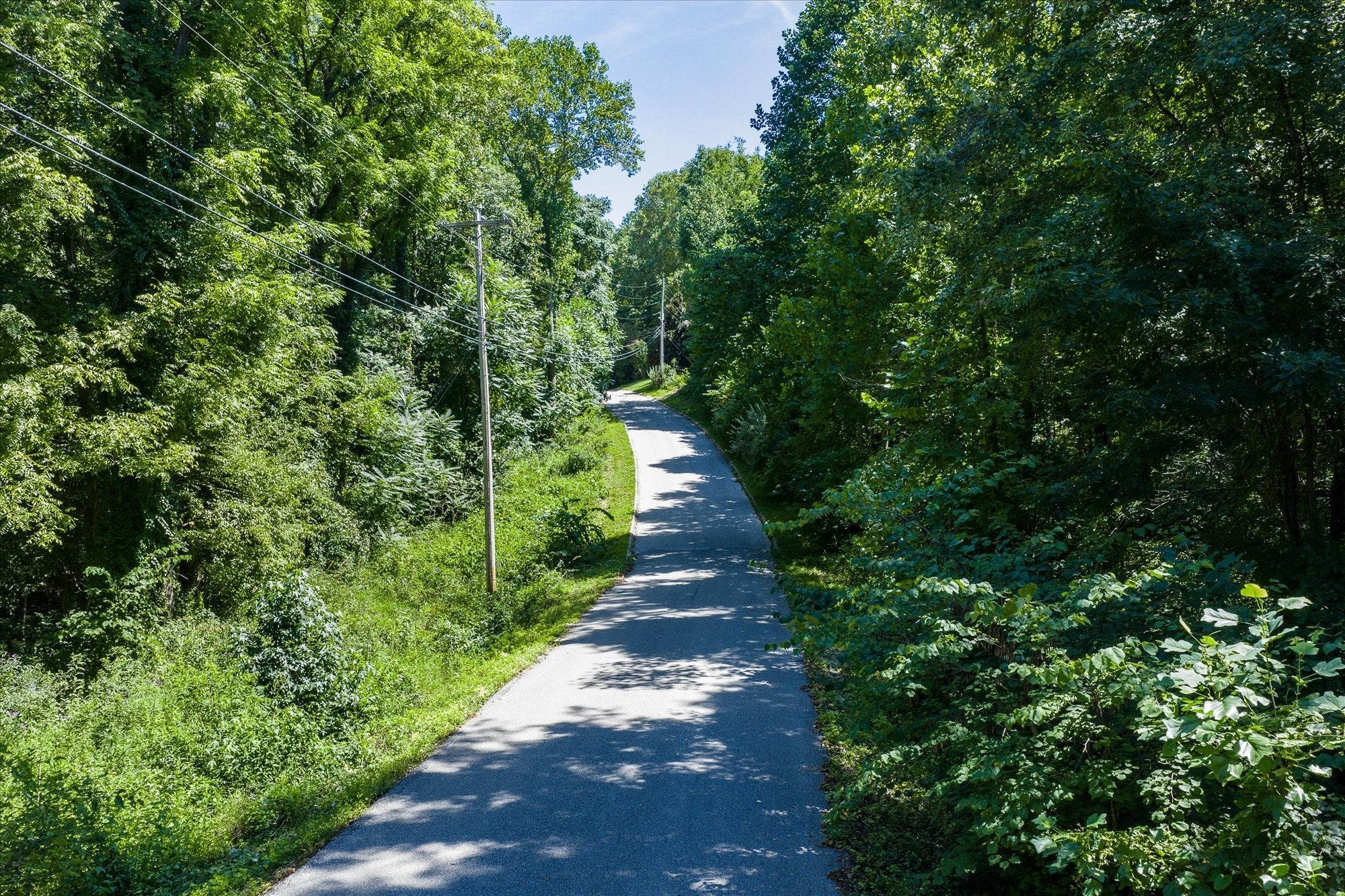 Photo of Listing #3030253