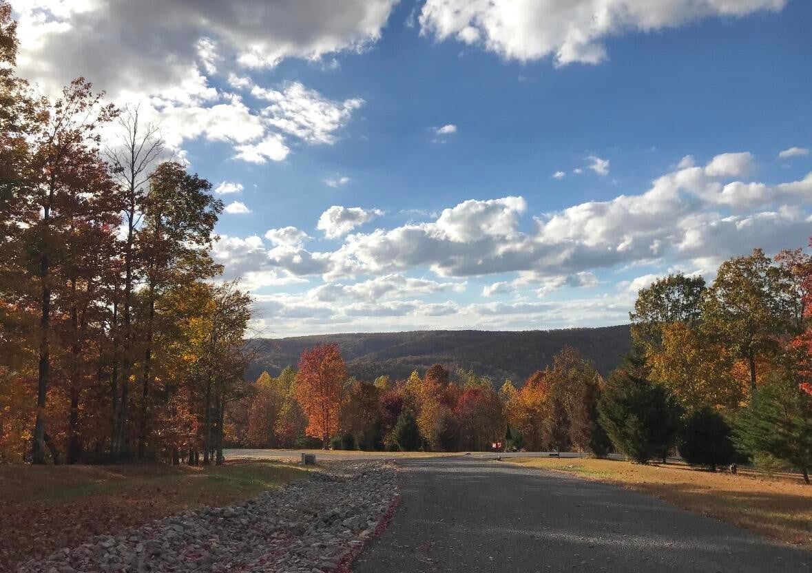 Photo of Listing #3030343