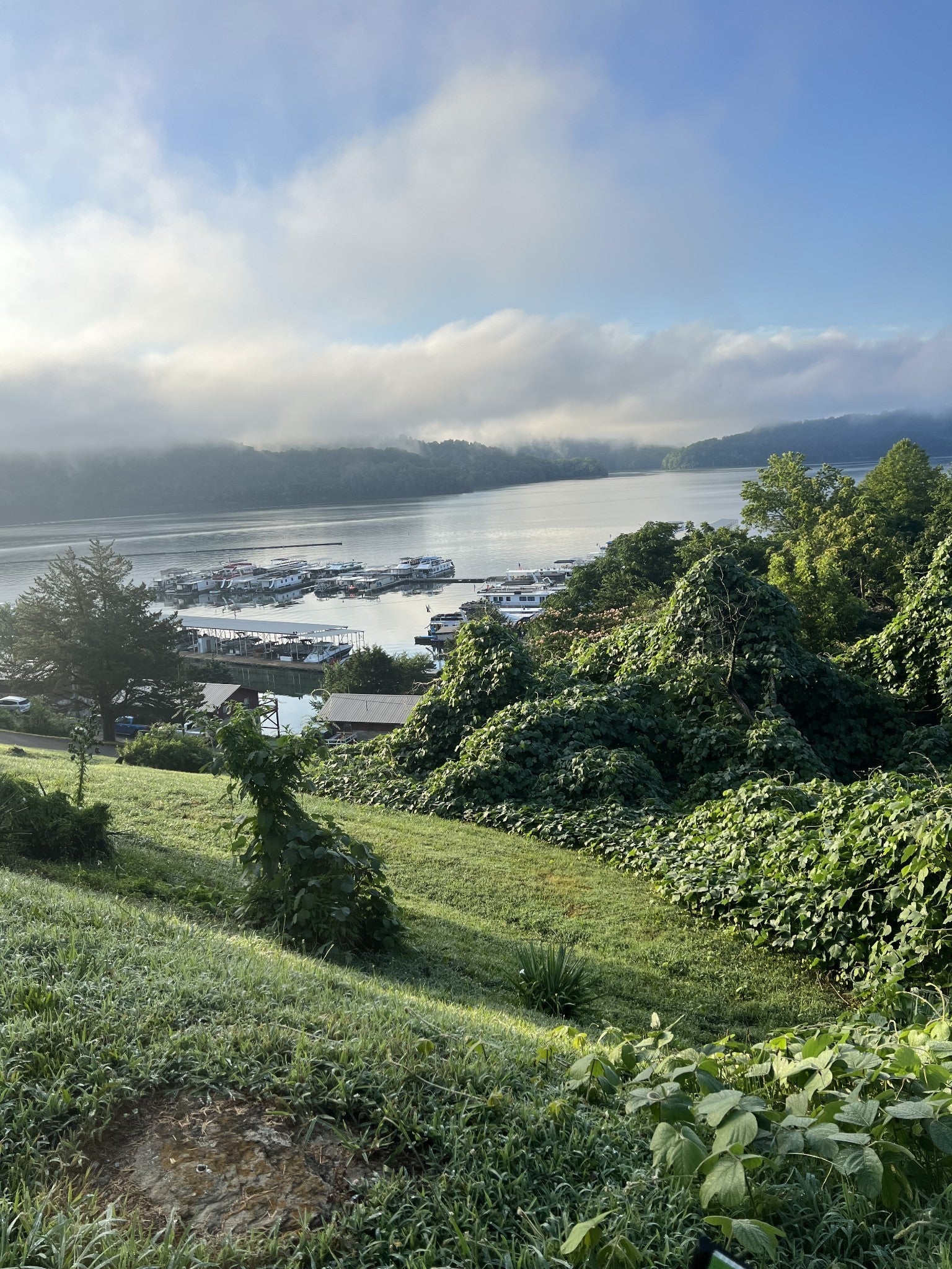 Photo of Listing #3030438