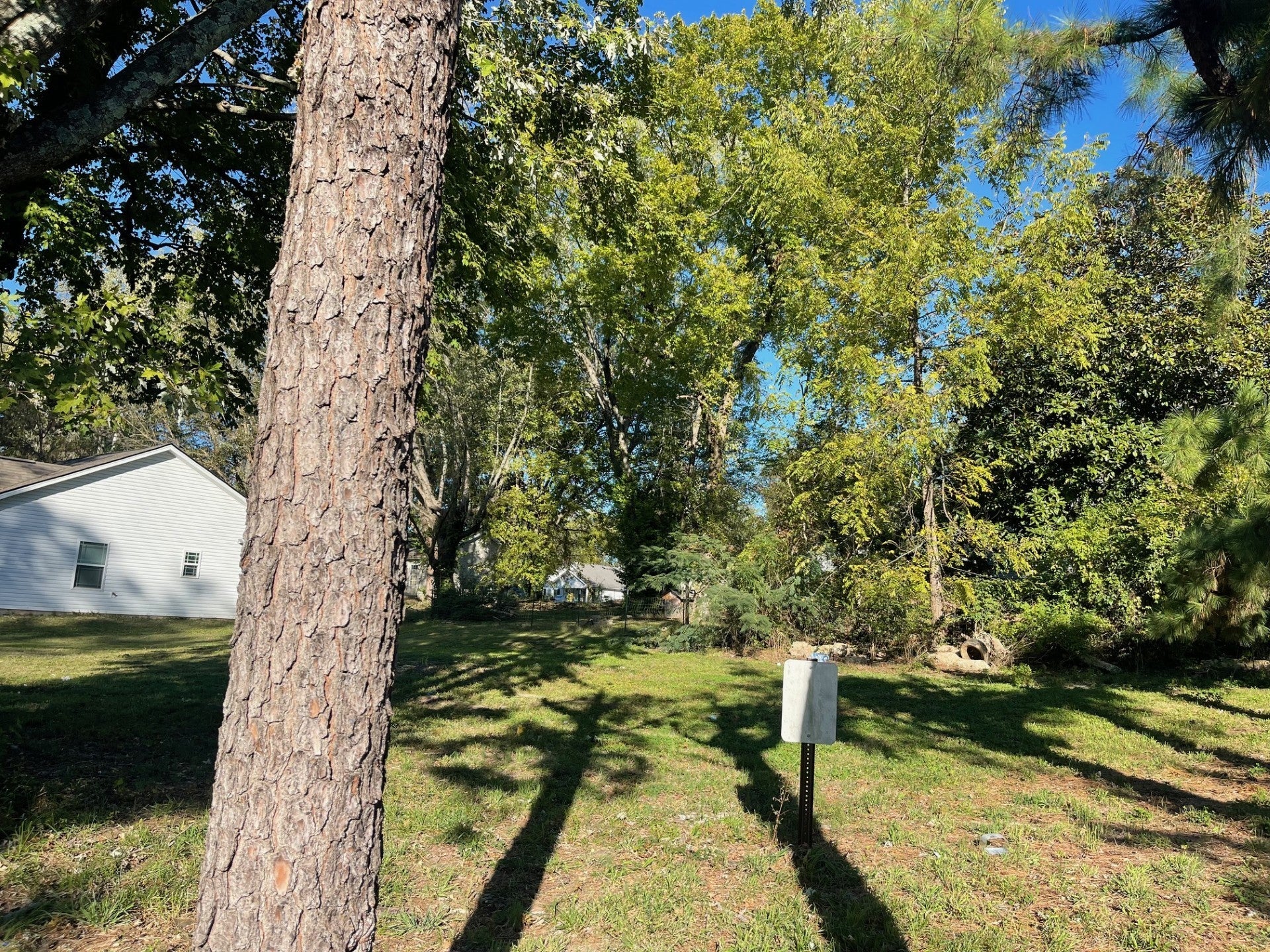 Photo of Listing #3030597