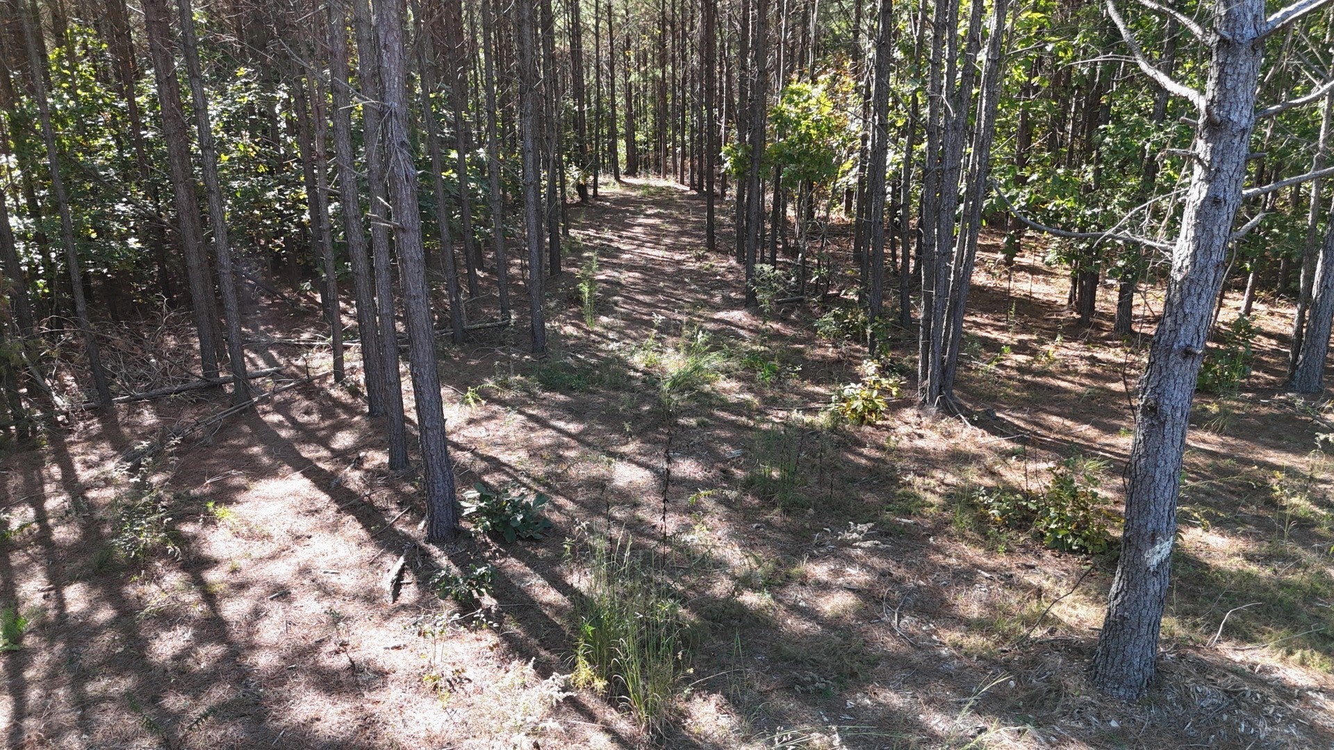 Photo of Listing #3030677