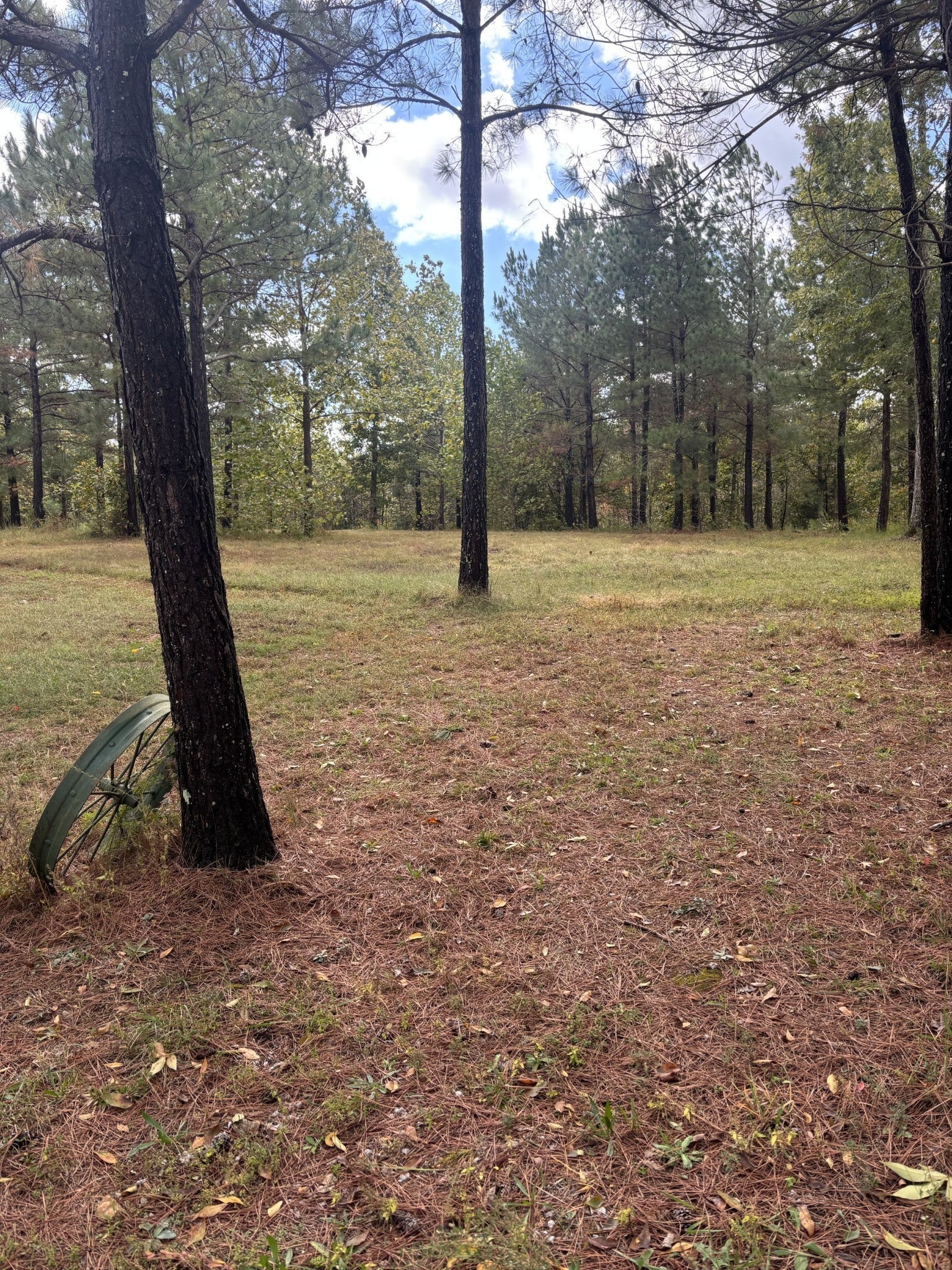 Photo of Listing #3030769