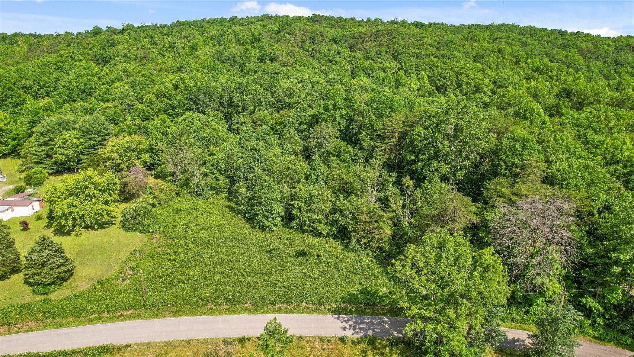 Photo of Listing #3030779