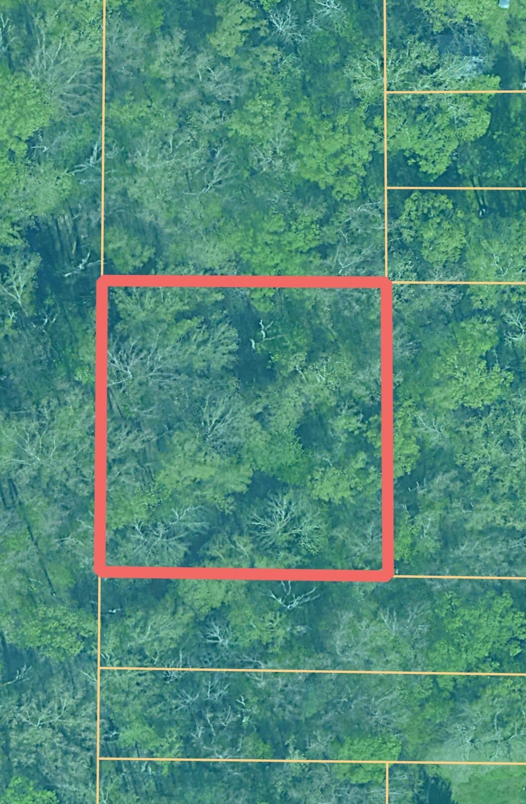 Photo of Listing #3030790