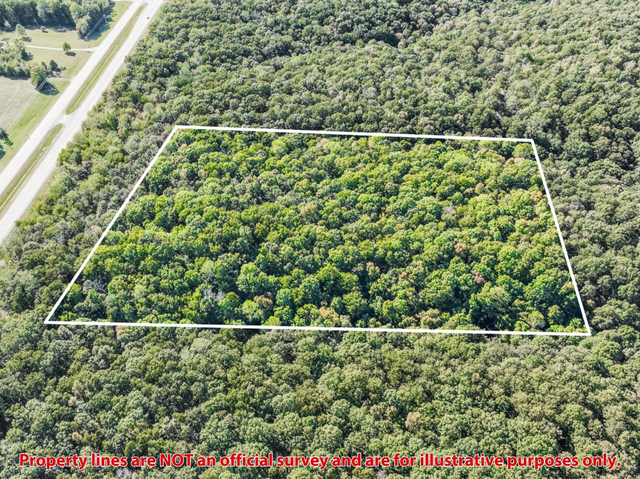 Photo of Listing #3030824