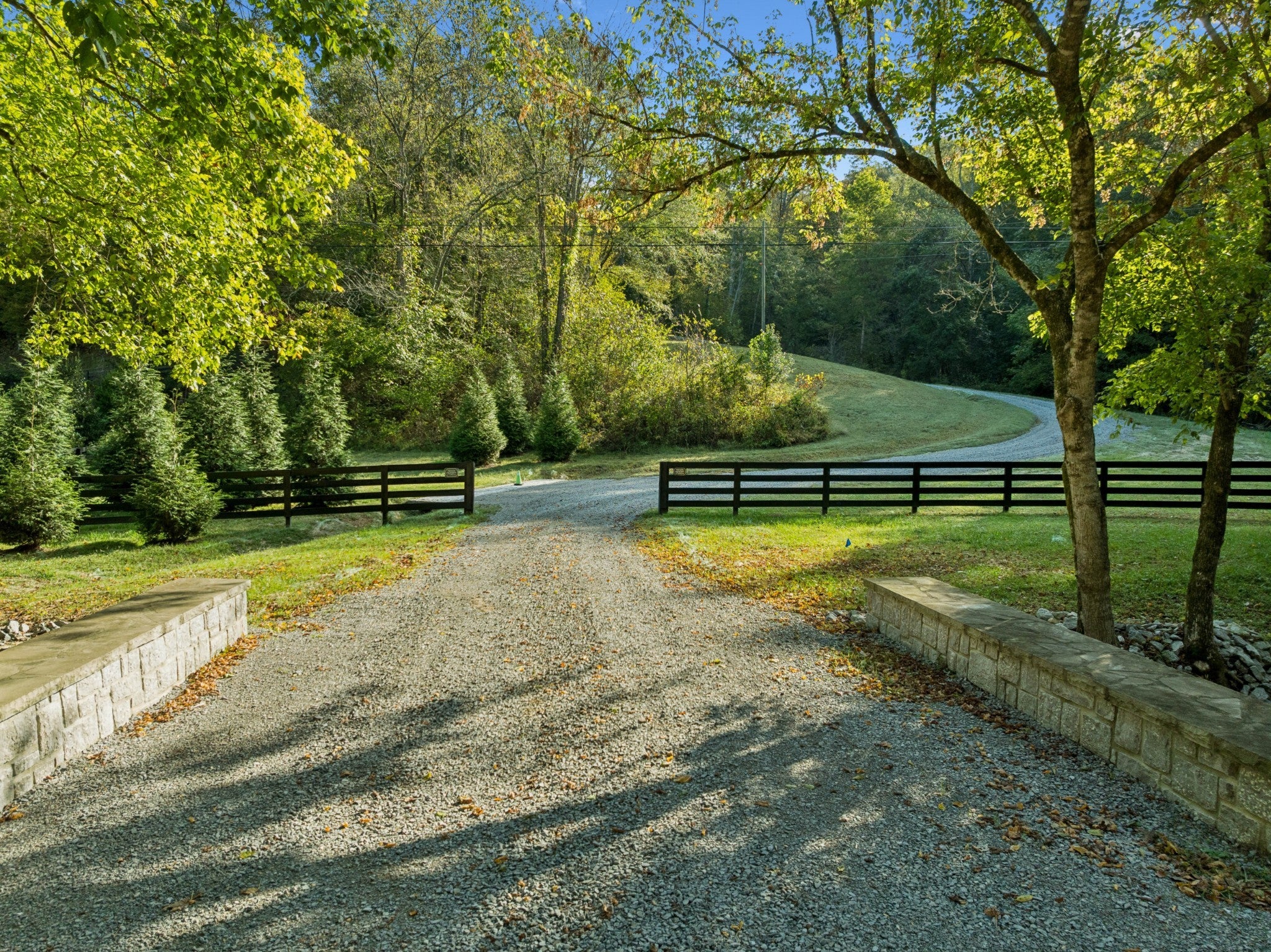 Photo of Listing #3030888