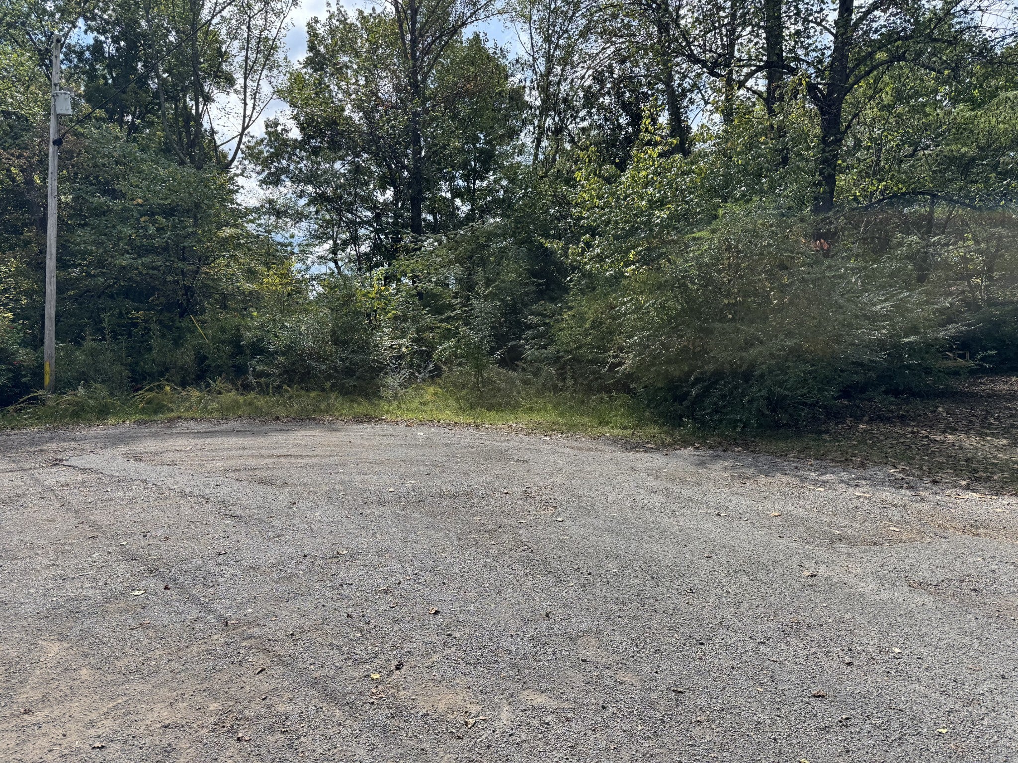 Photo of Listing #3030913