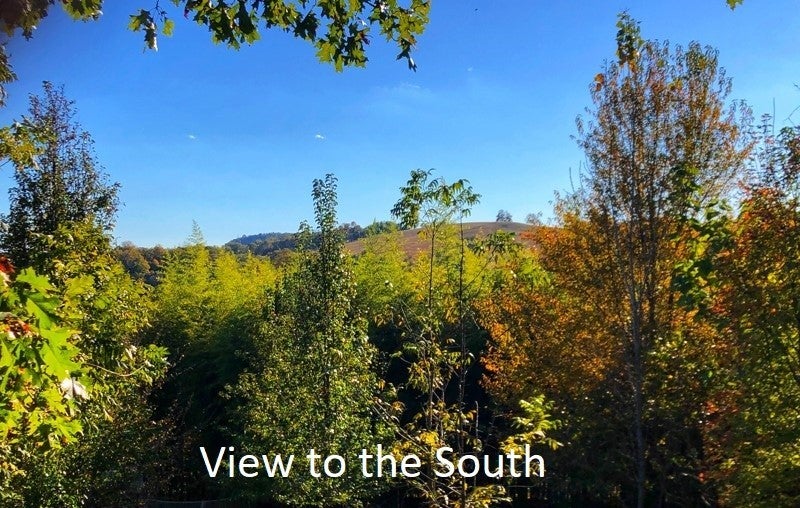 Photo of Listing #3030964