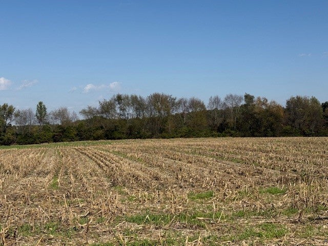 Photo of Listing #3031002