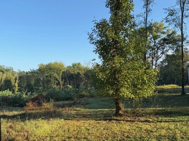 Photo of Listing #3031067