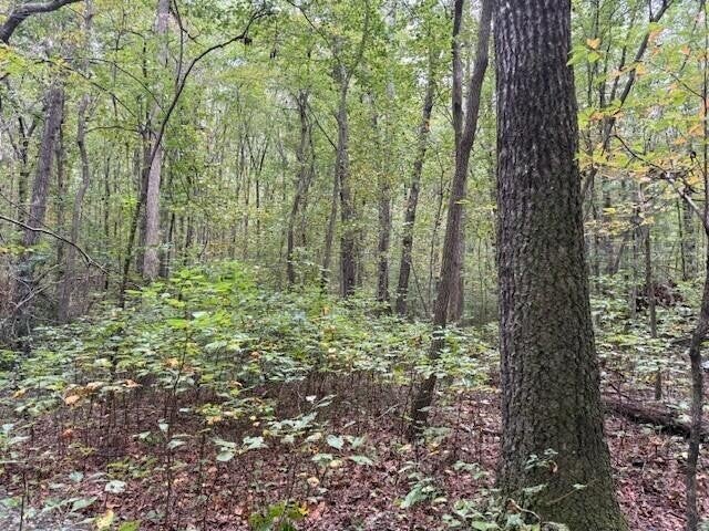 Photo of Listing #3031199