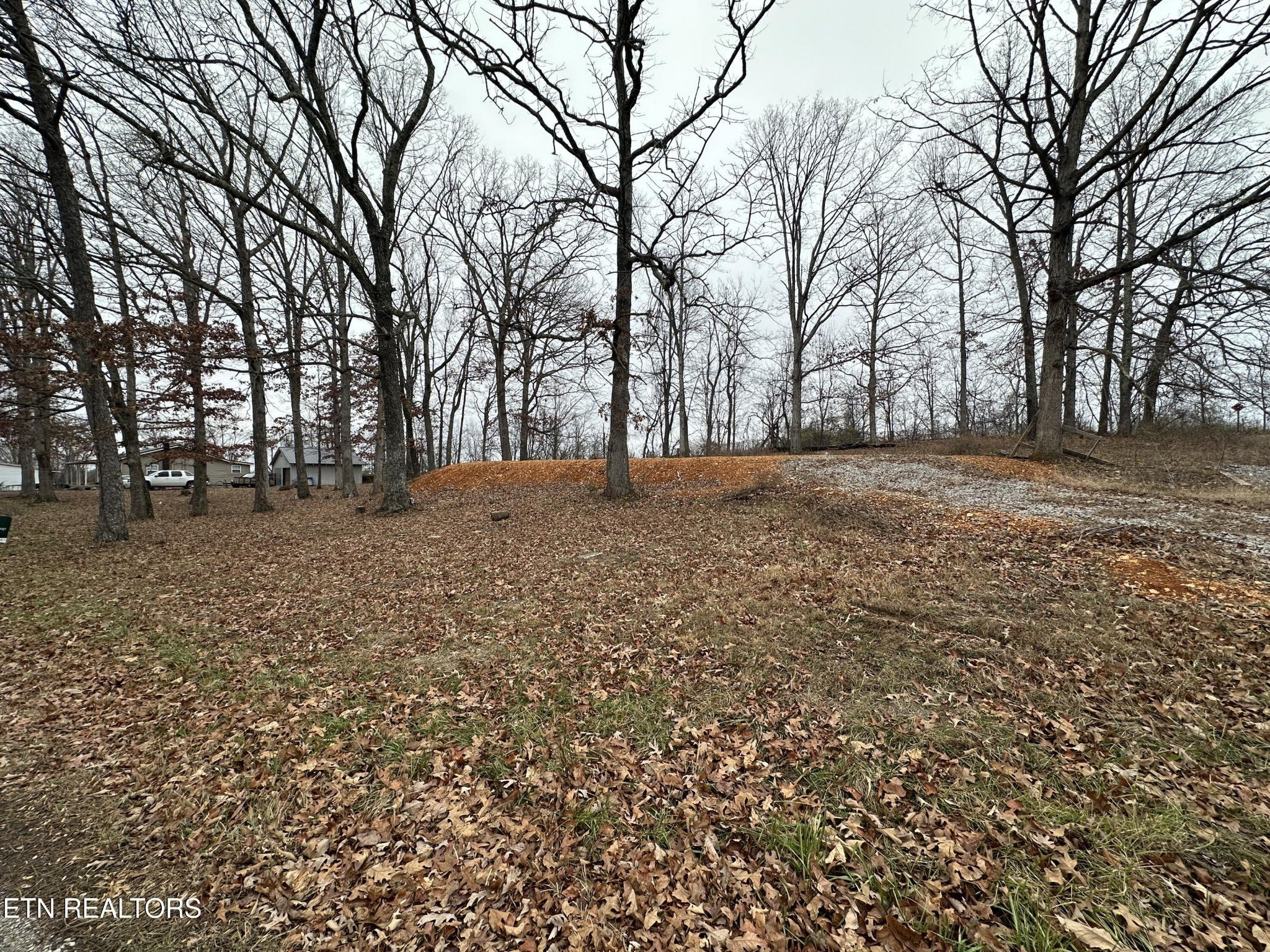 Photo of Listing #3031212