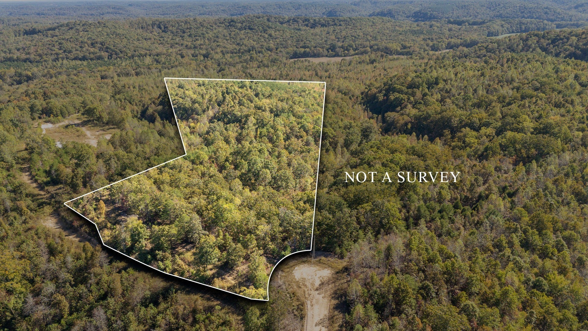 Photo of Listing #3031650