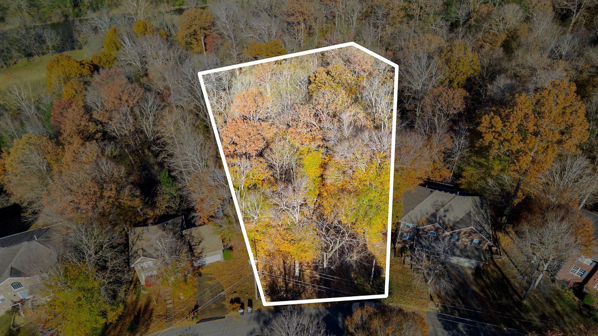 Photo of Listing #3031668