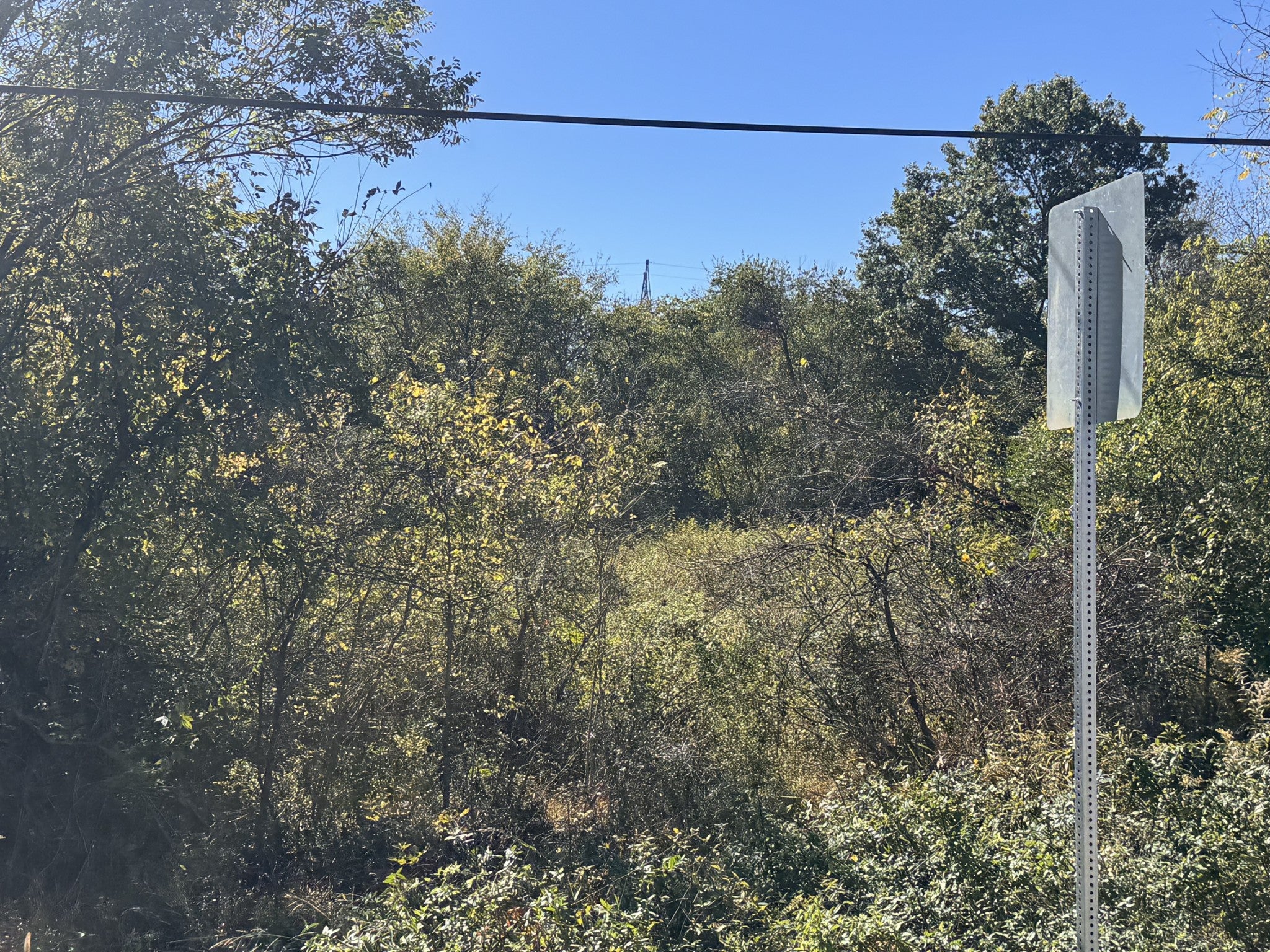 Photo of Listing #3032014