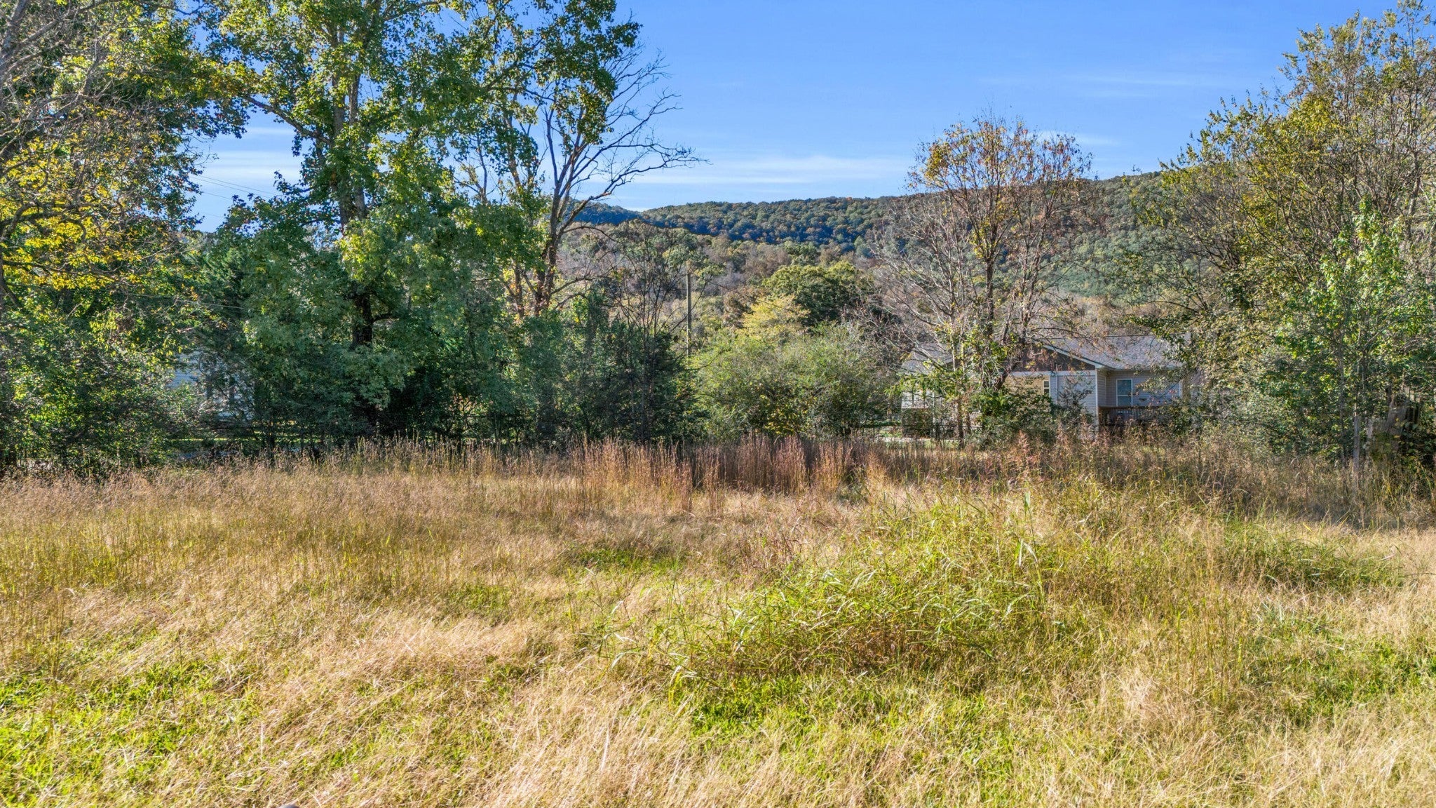 Photo of Listing #3032017