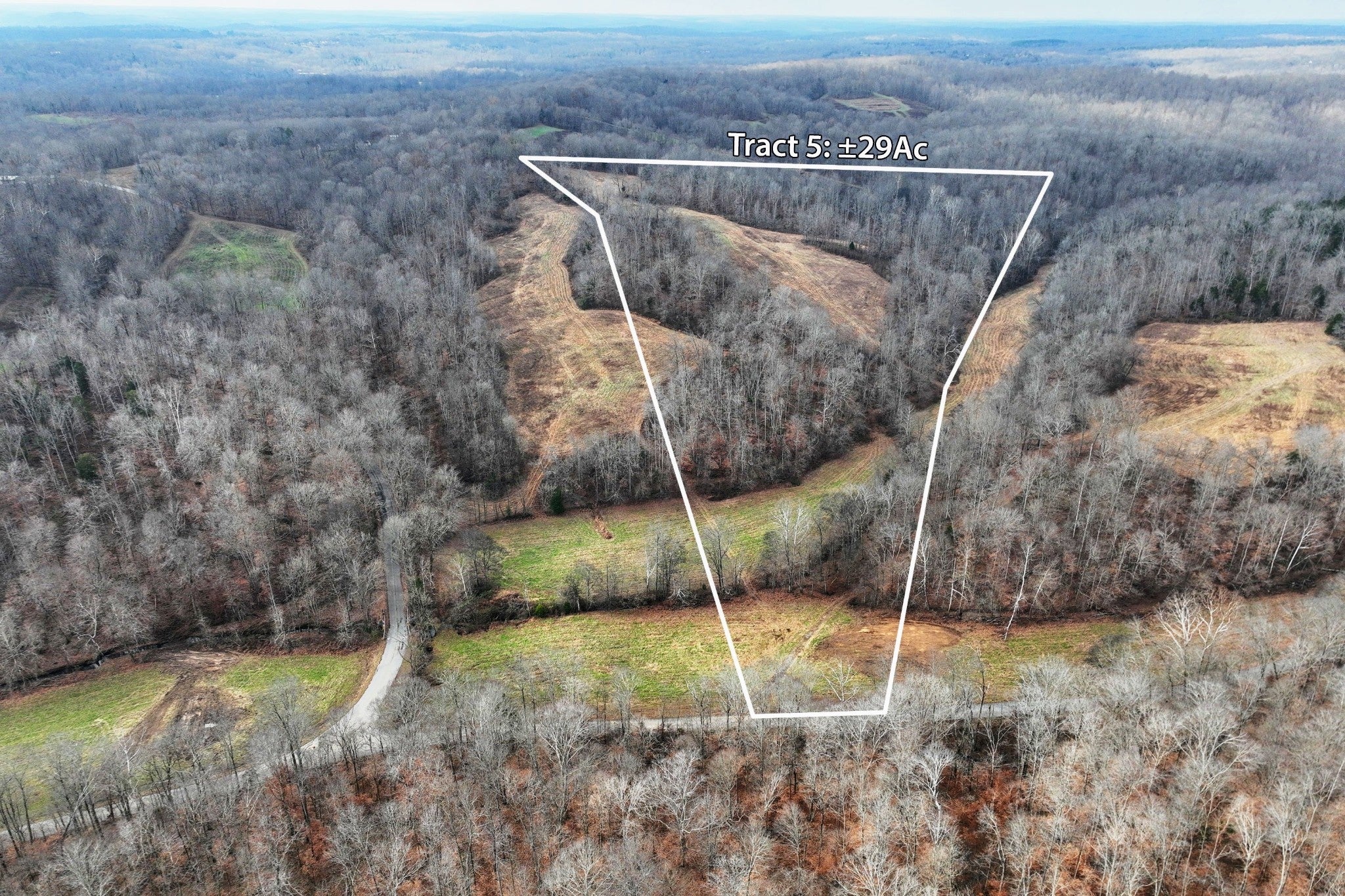 Photo of Listing #3032201