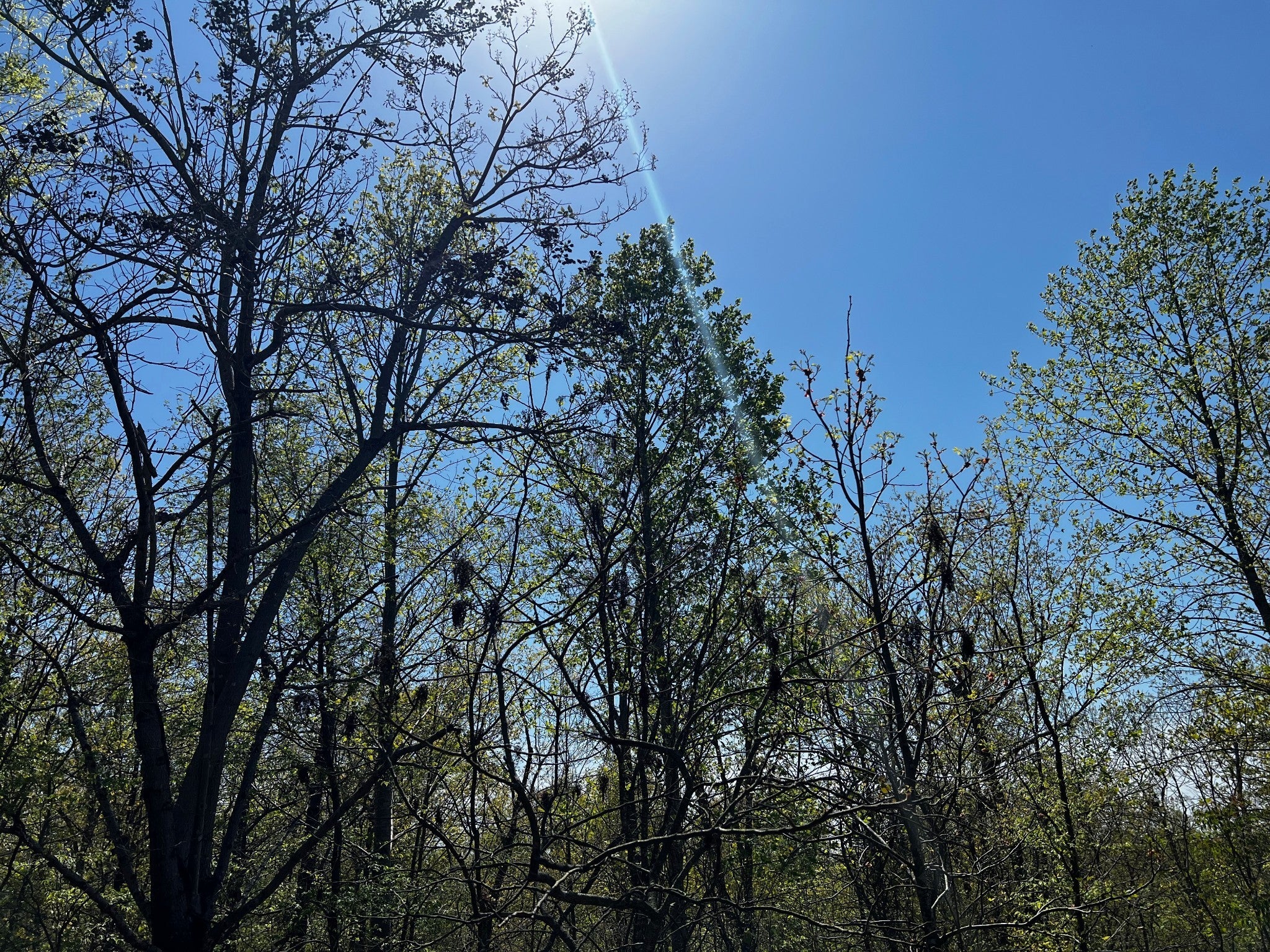 Photo of Listing #3032609