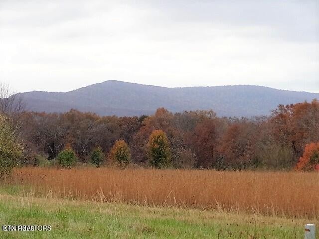 Photo of Listing #3032738