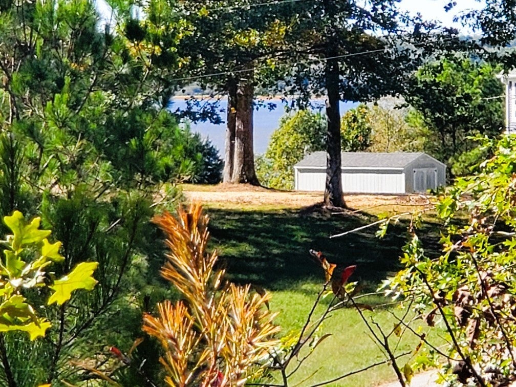 Photo of Listing #3032859