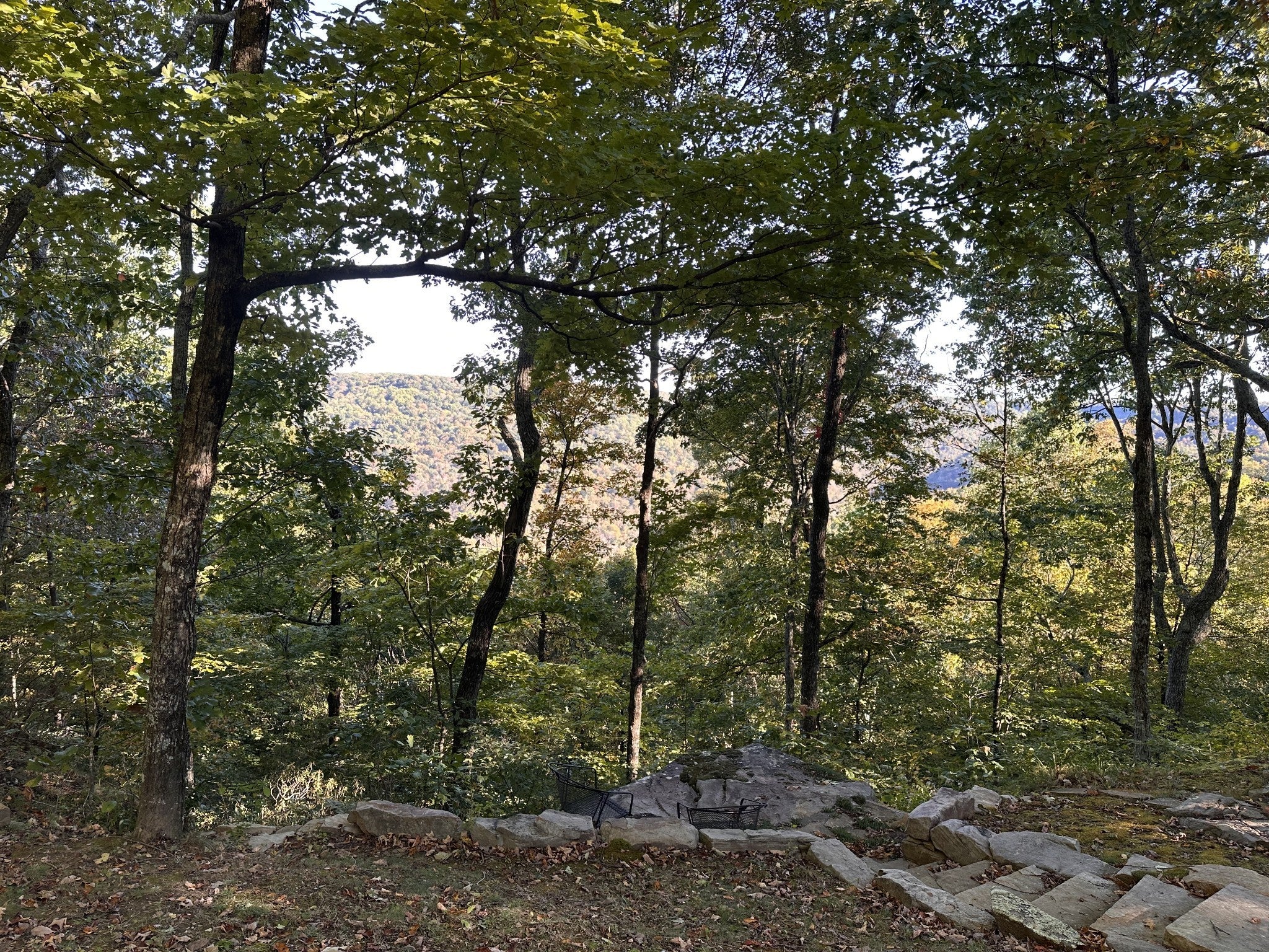 Photo of Listing #3032941